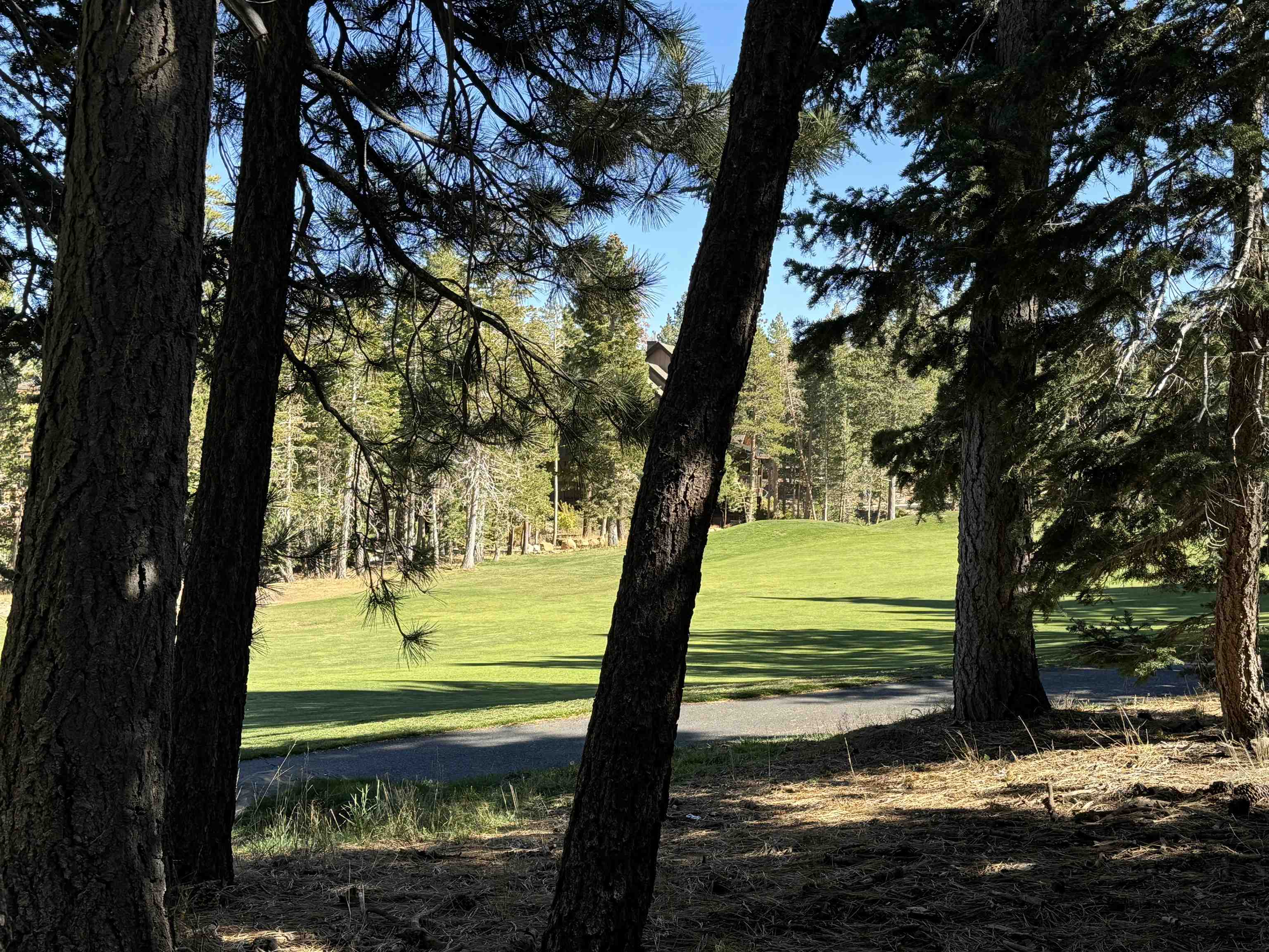 2022 Lodestar Drive Unit: Lot #10