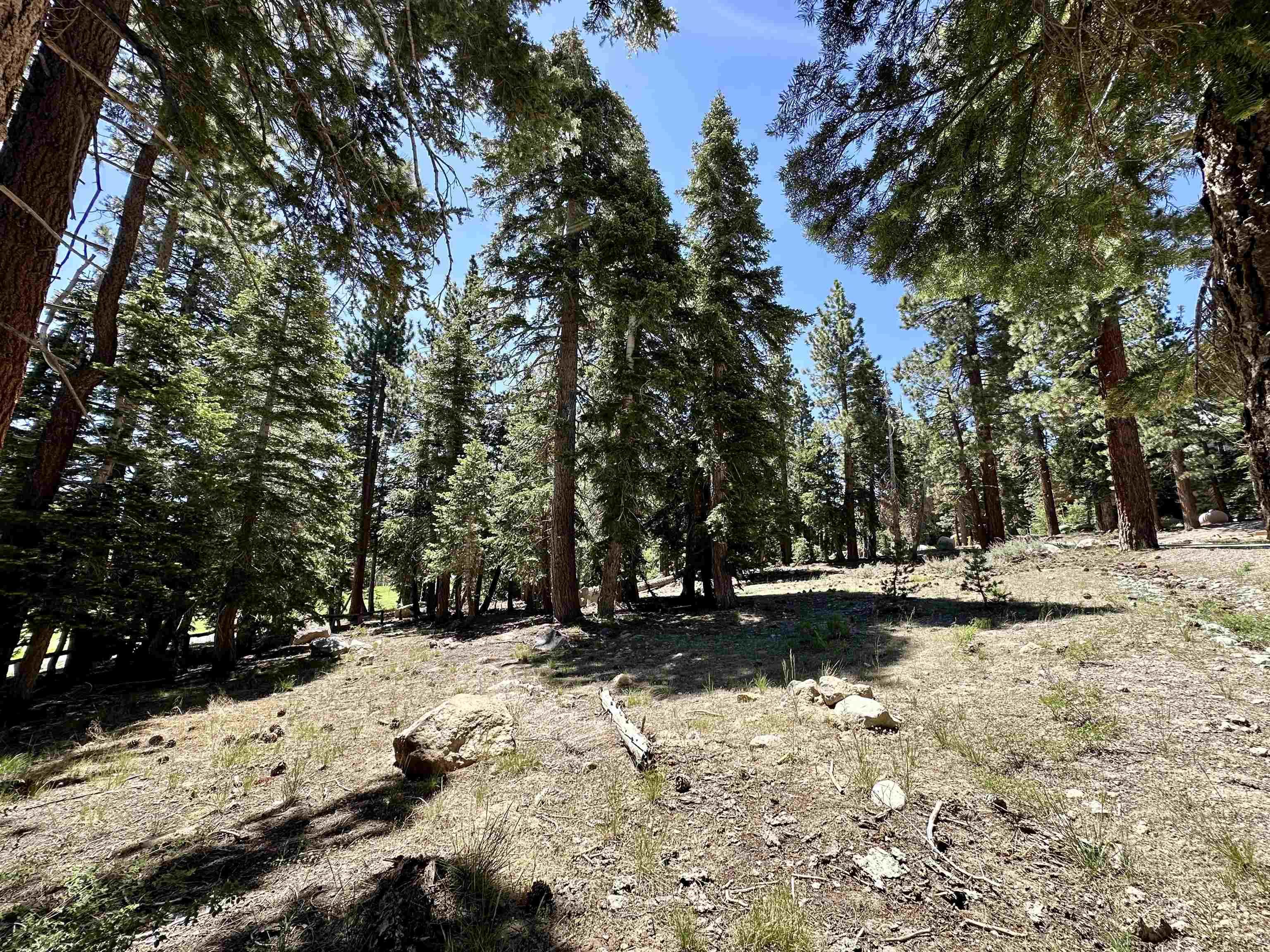 2022 Lodestar Drive Unit: Lot #10