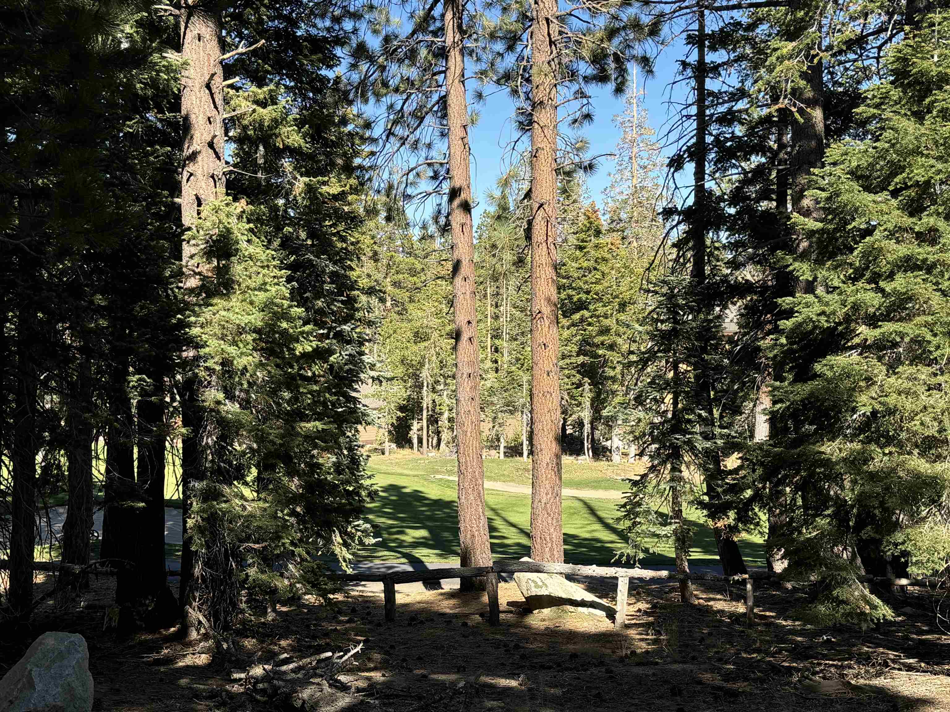 2022 Lodestar Drive Unit: Lot #10