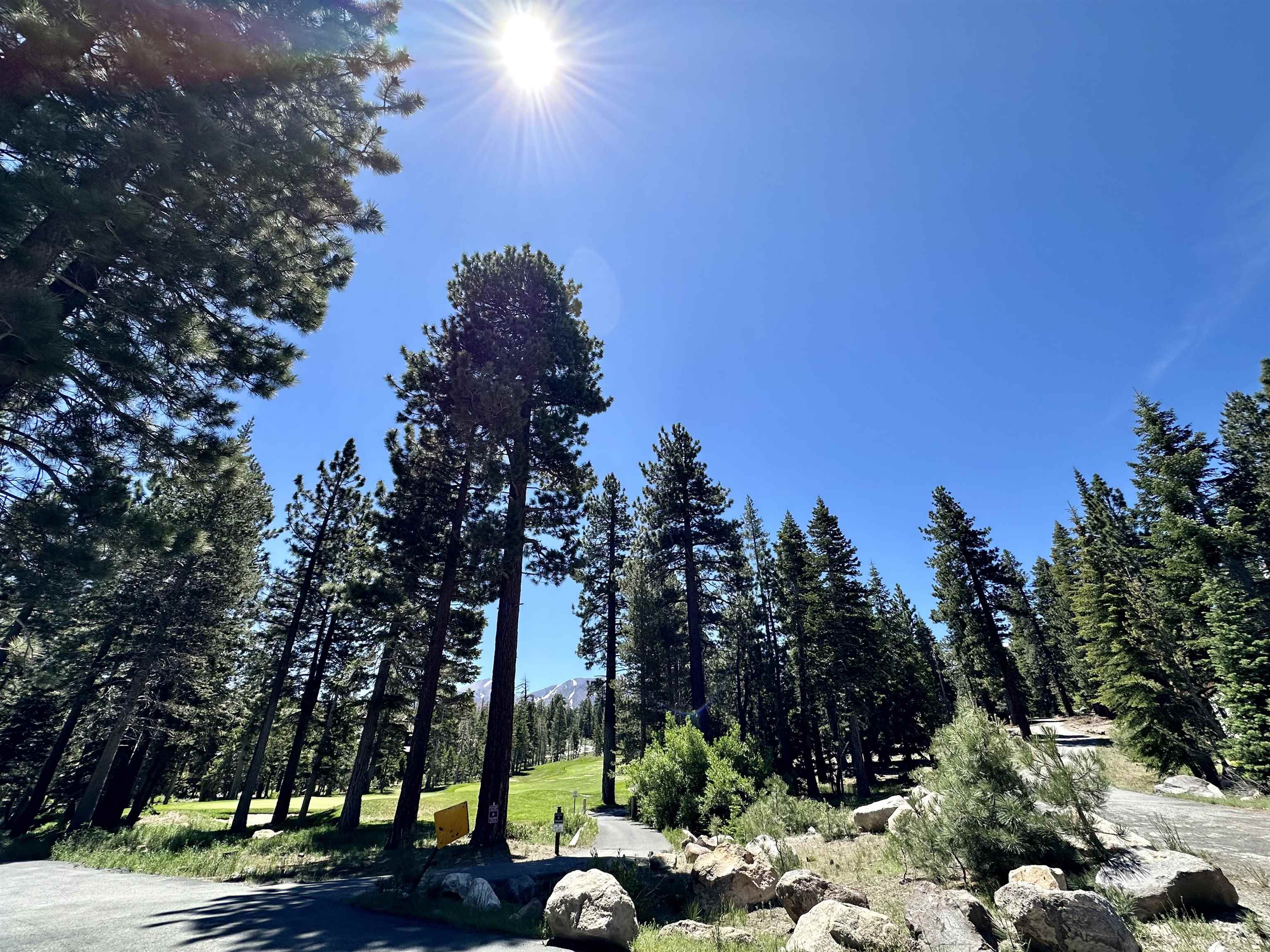 2022 Lodestar Drive Unit: Lot #10