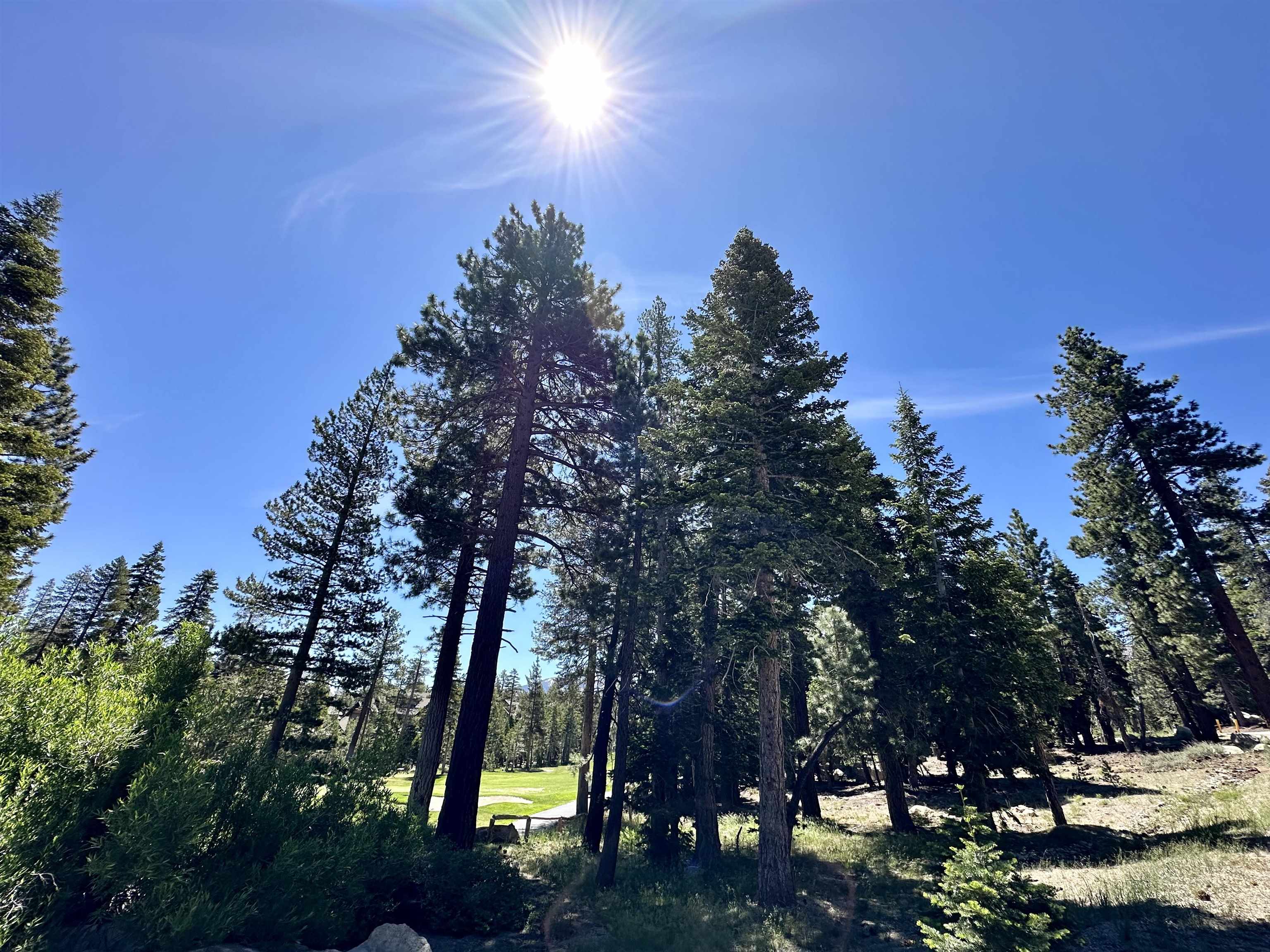 2022 Lodestar Drive Unit: Lot #10