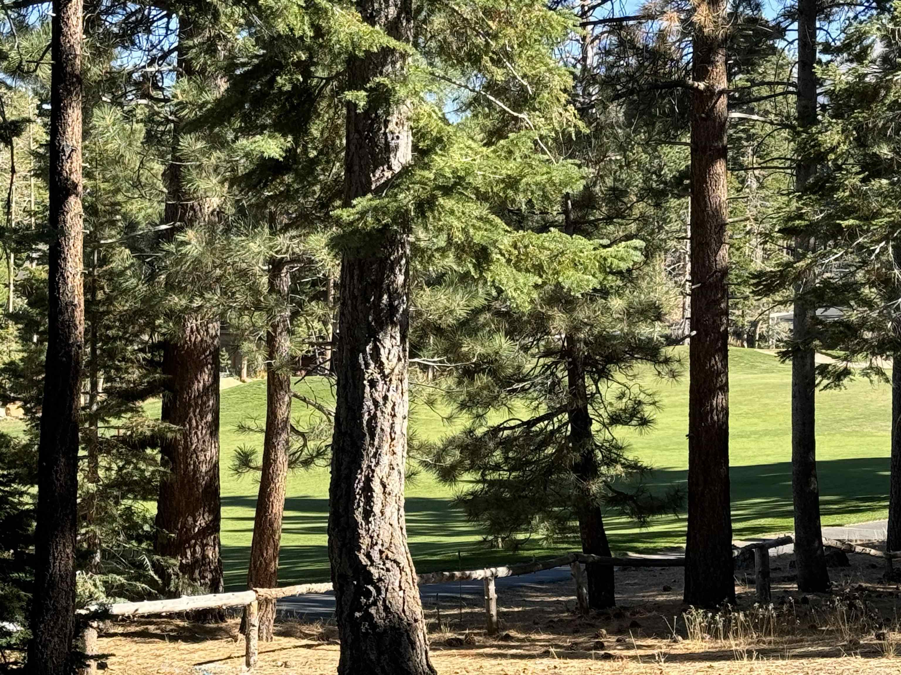 2022 Lodestar Drive Unit: Lot #10