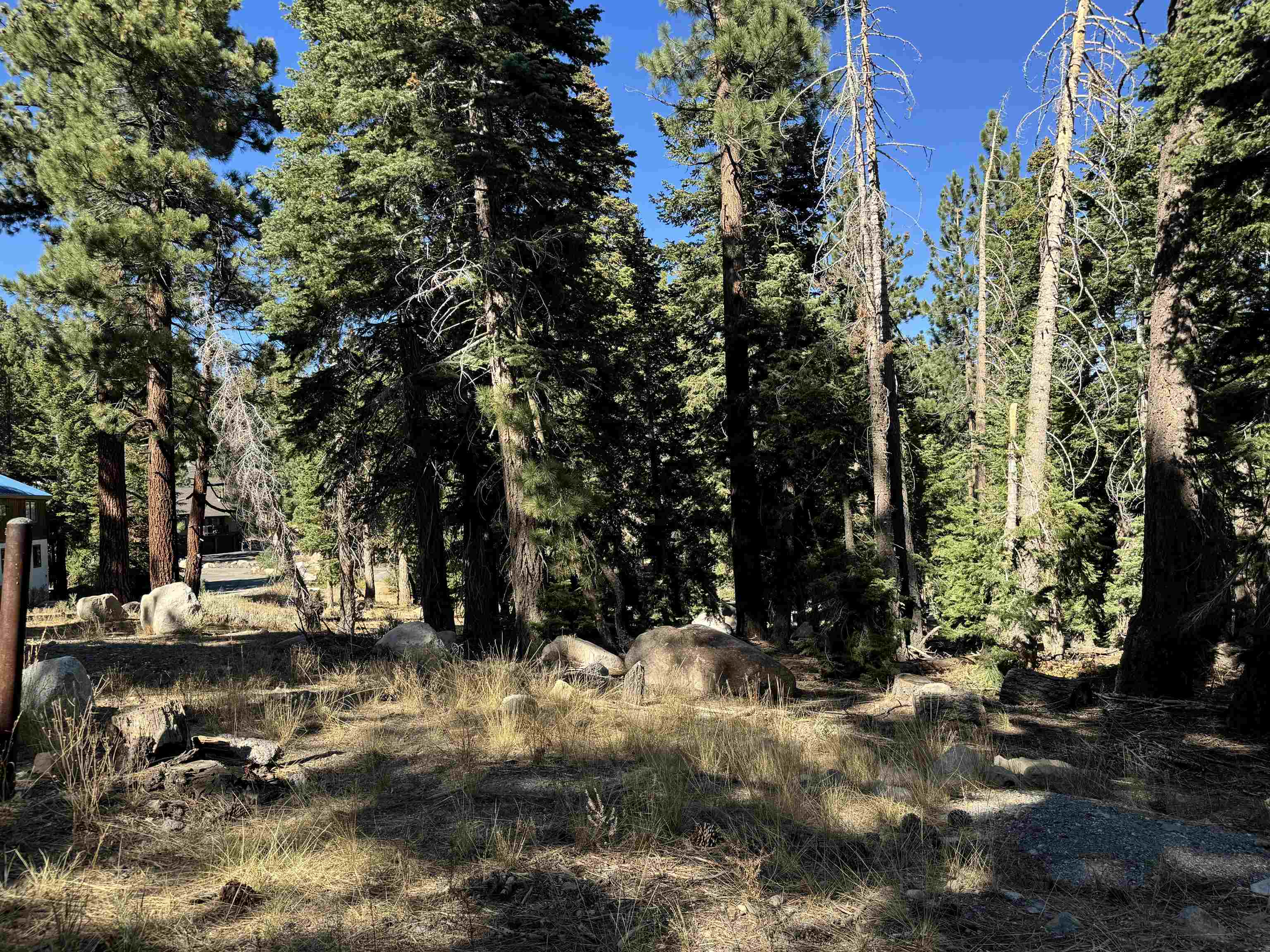 2022 Lodestar Drive Unit: Lot #10