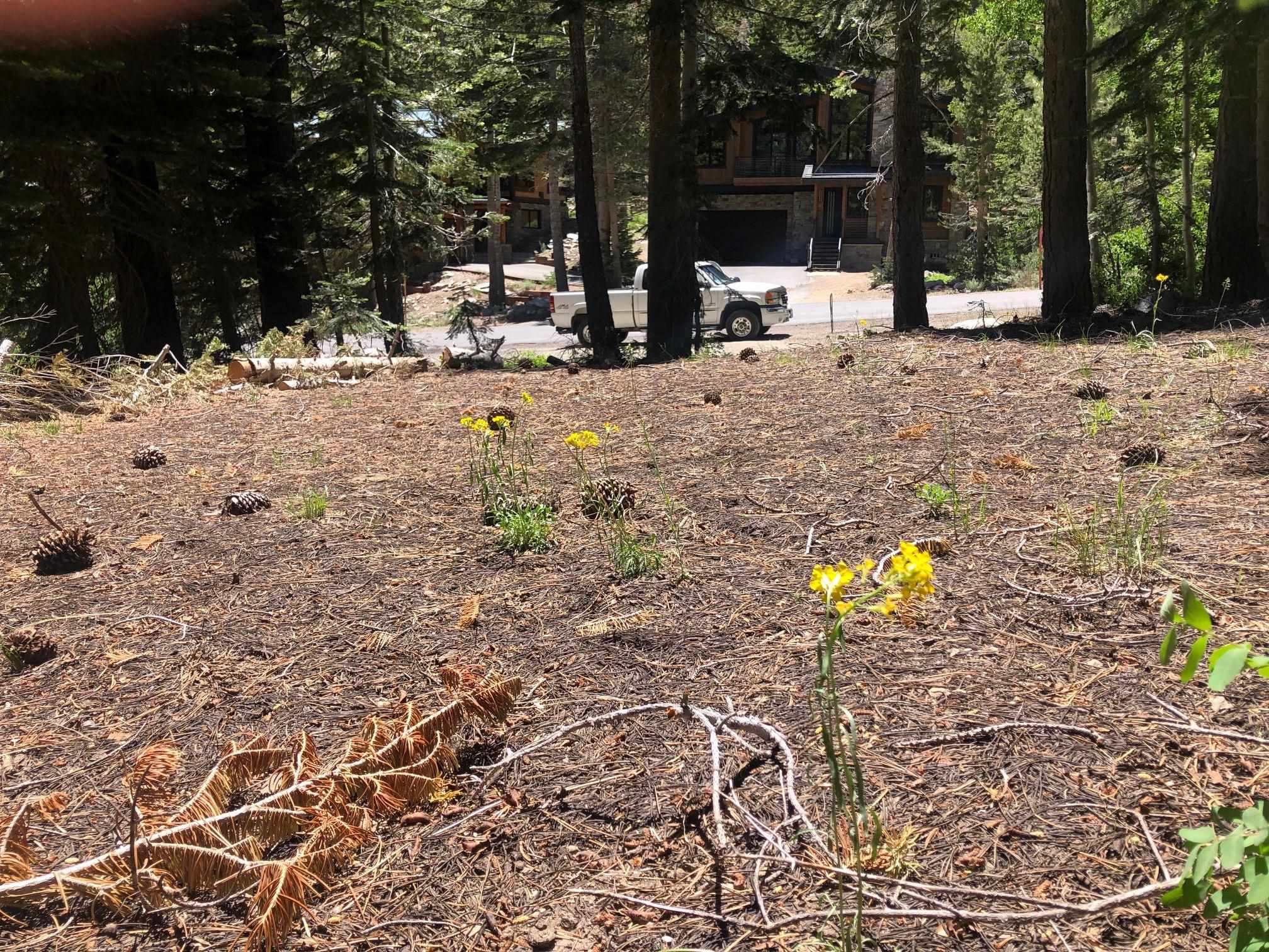 136 Red Fir Road Unit: Mammoth Park Tract Lot #21