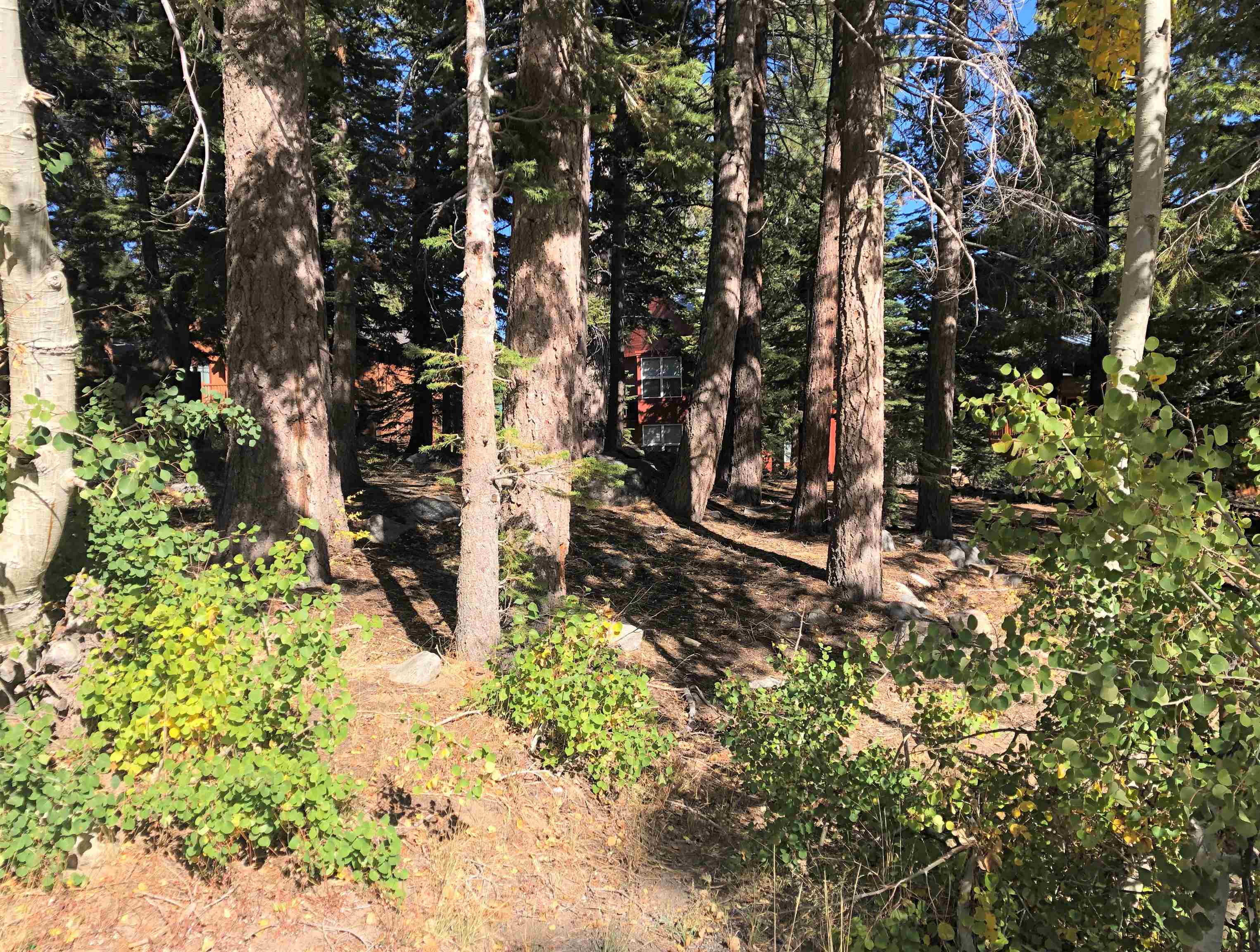 136 Red Fir Road Unit: Mammoth Park Tract Lot #21