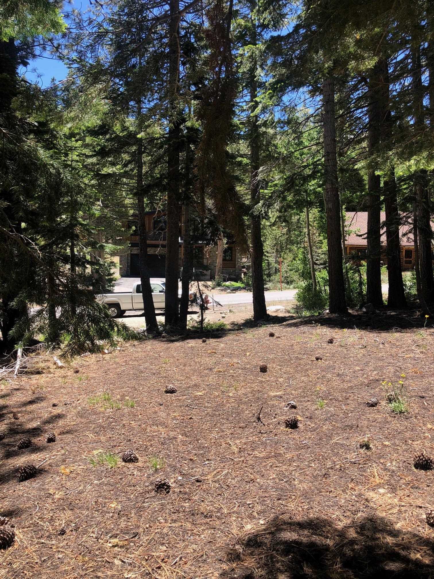 136 Red Fir Road Unit: Mammoth Park Tract Lot #21