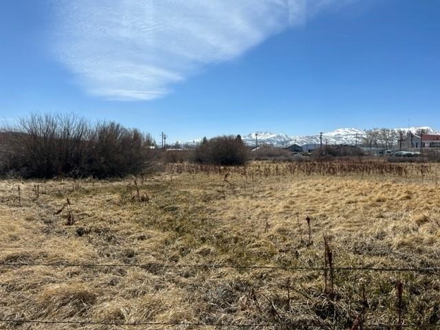 Lot 6 Stock Drive