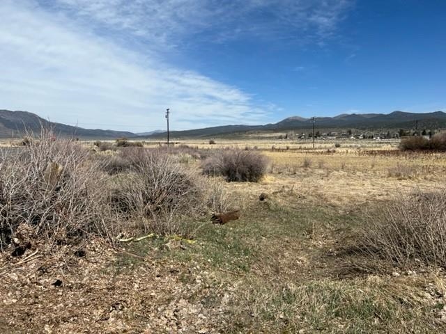 Lot 6 Stock Drive