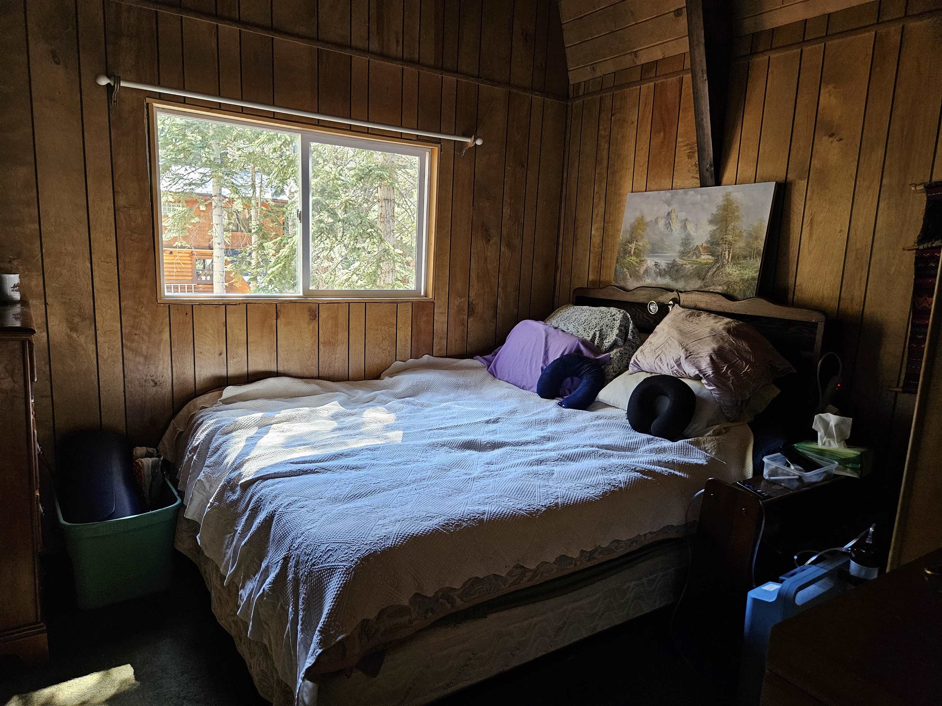 226 St. Anton Circle