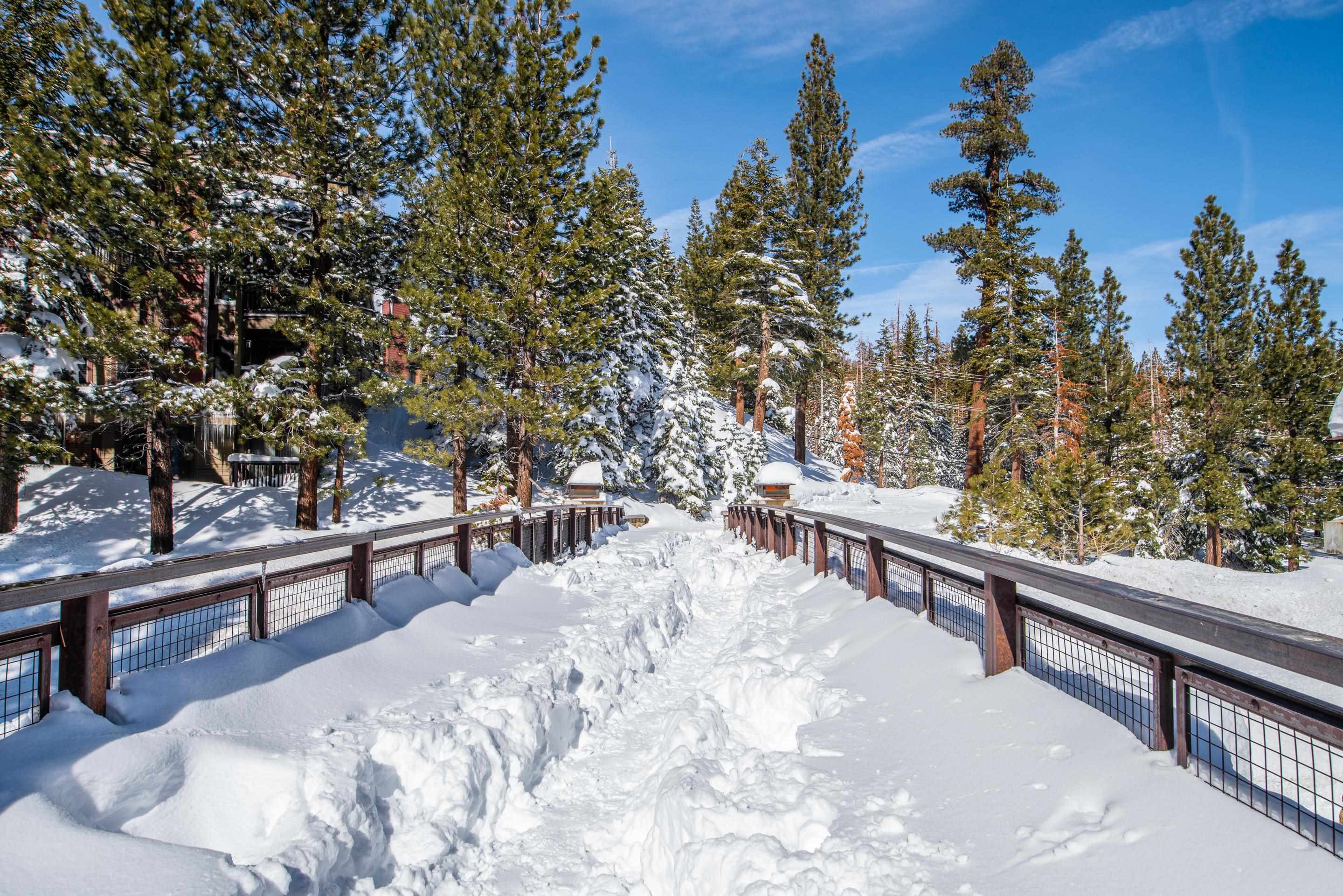 1111 Forest Trail Unit: Grand Sierra Lodge #1123