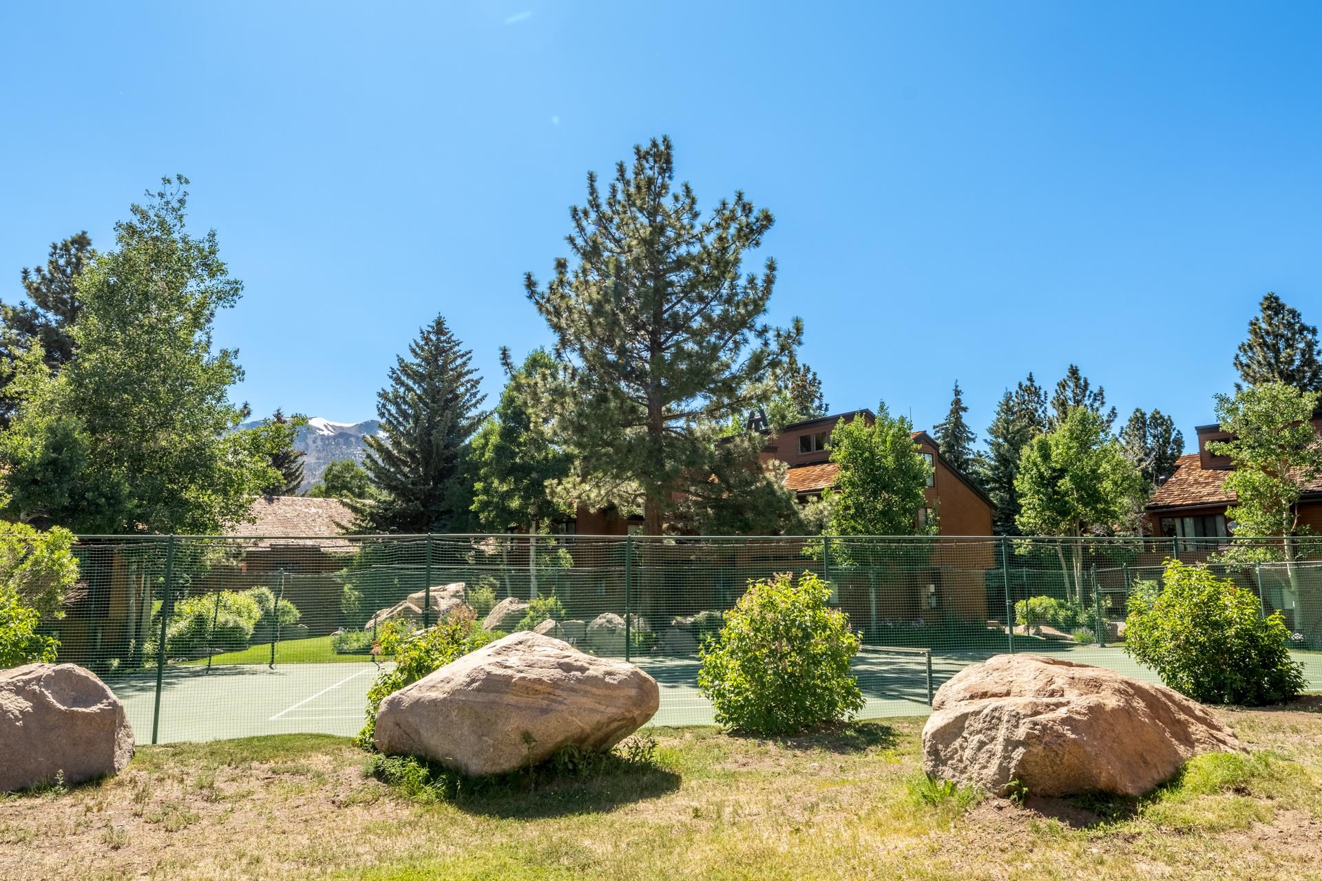 103 Meadow Lane #8