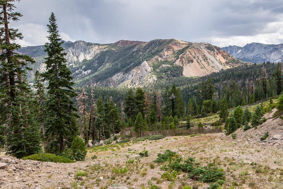 20 Bridges Lane Unit: Bridges #207