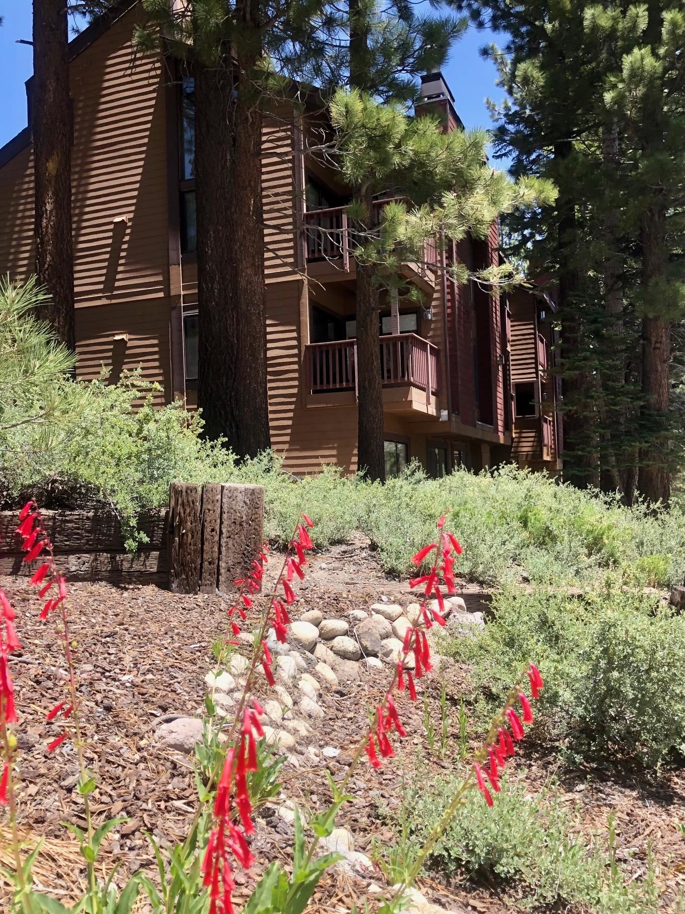 195 Hillside Drive Unit: Val D Isere #13