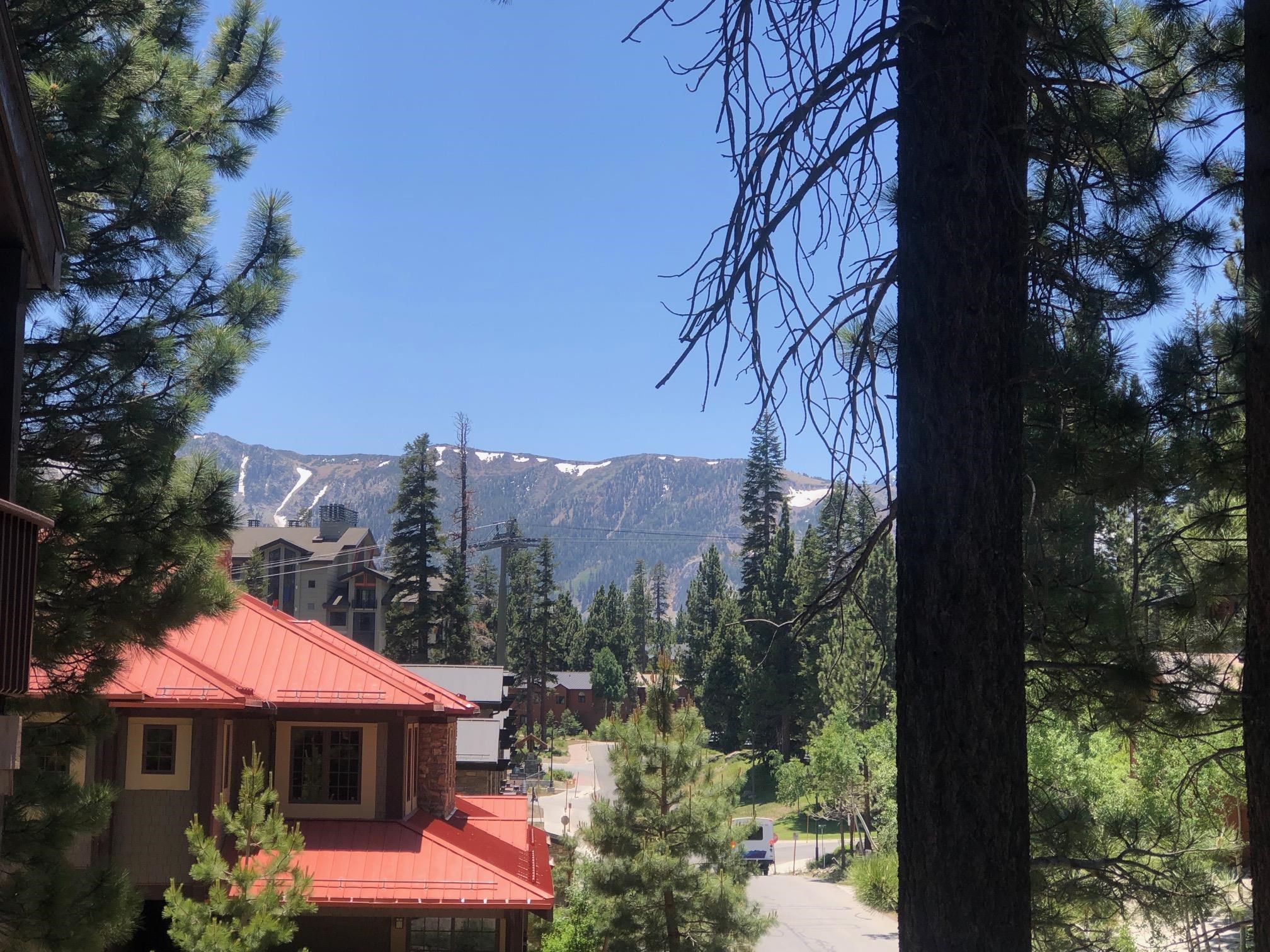 195 Hillside Drive Unit: Val D Isere #13