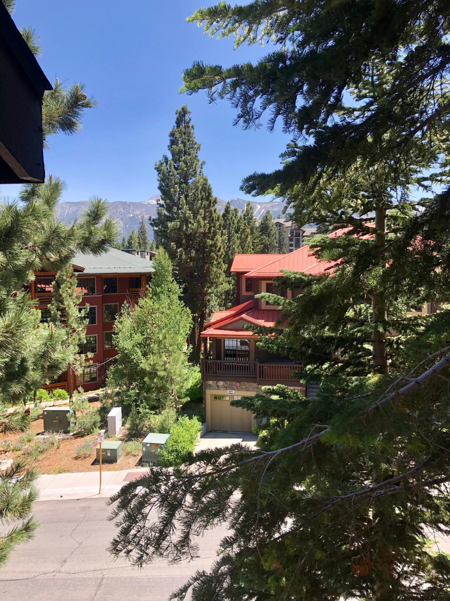 195 Hillside Drive Unit: Val D Isere #13