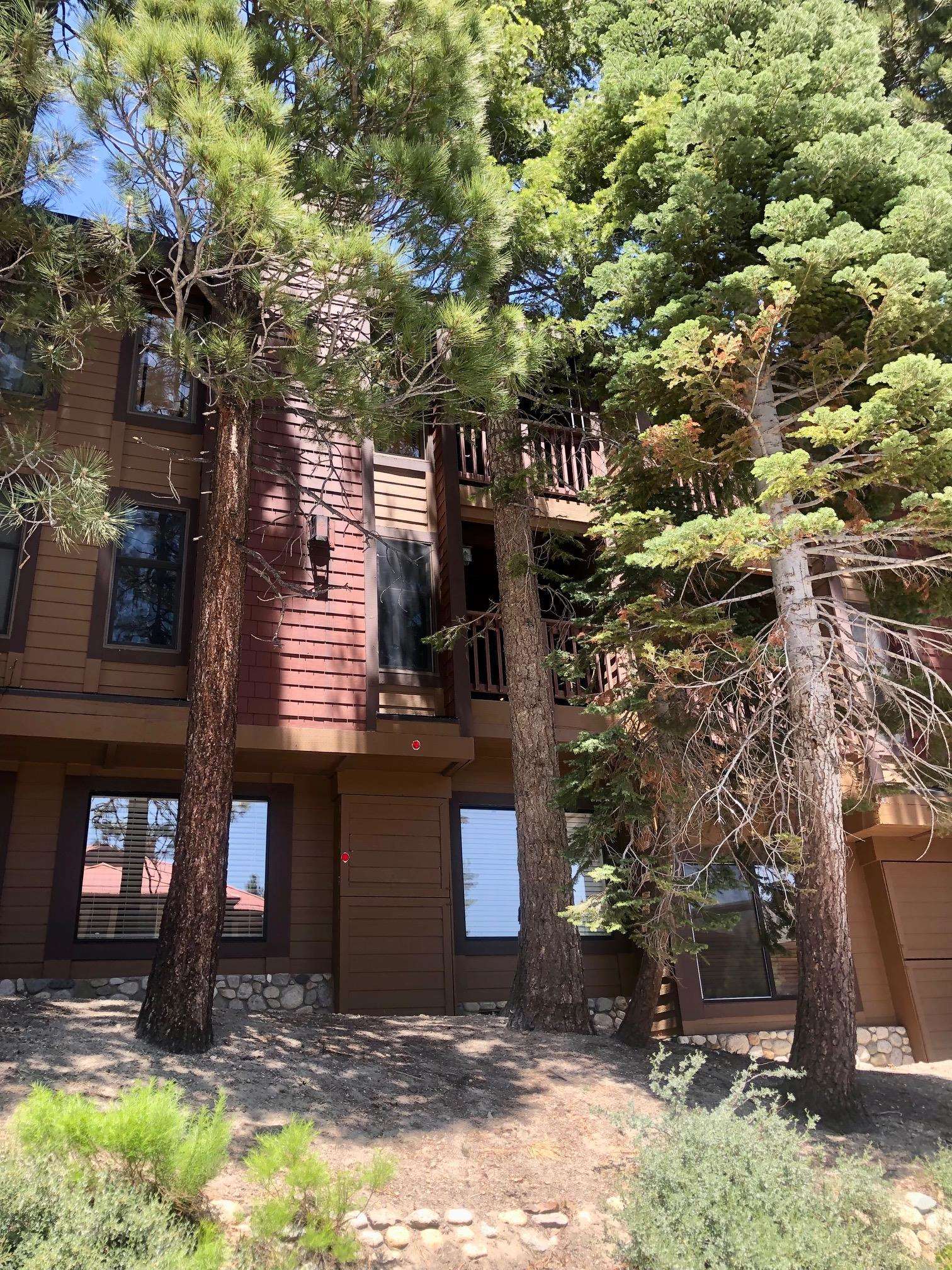 195 Hillside Drive Unit: Val D Isere #13