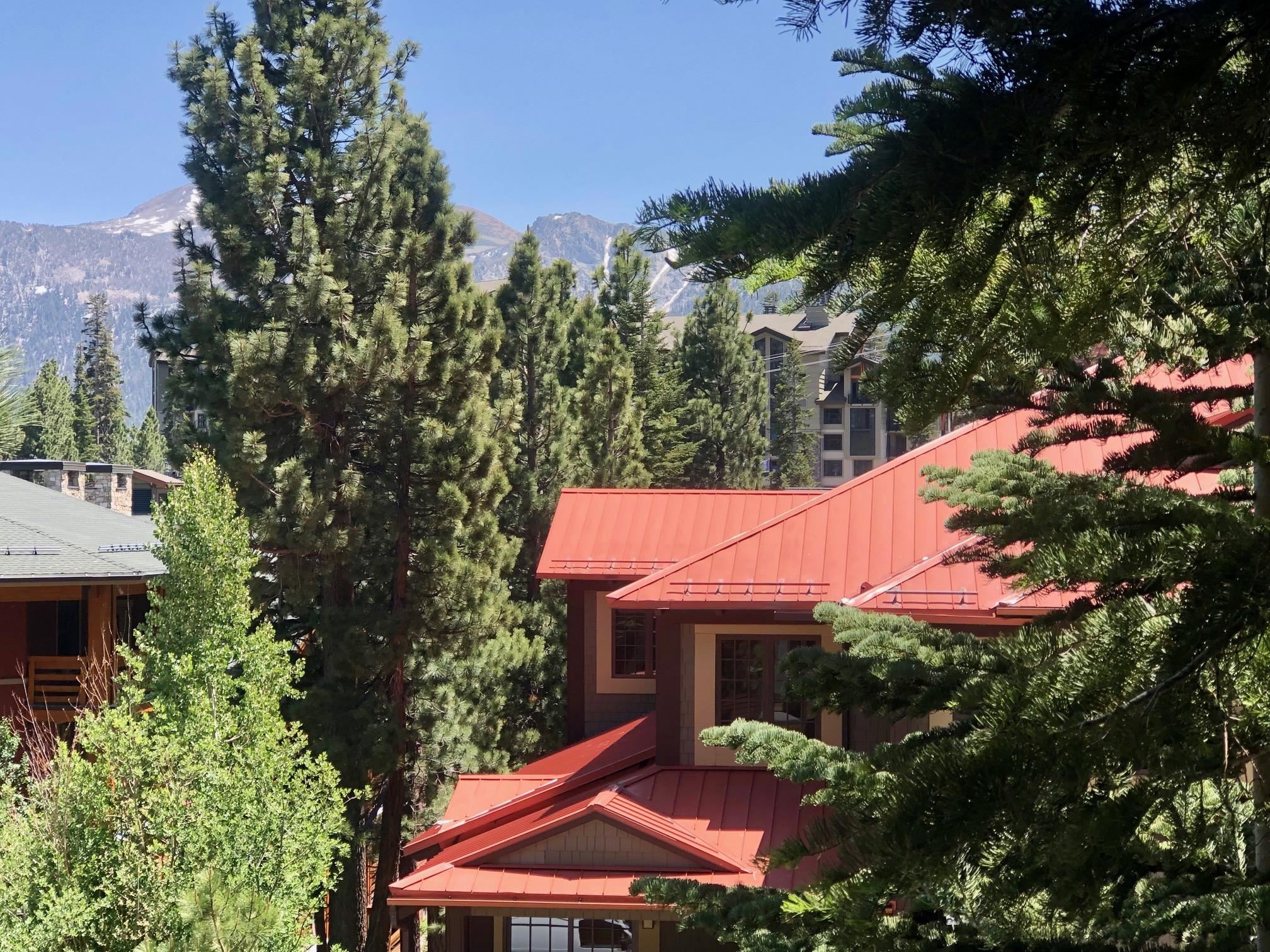 195 Hillside Drive Unit: Val D Isere #13