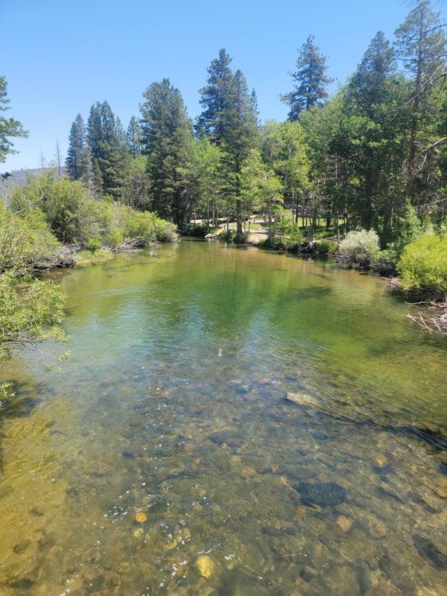 11919 Twin Lakes Road