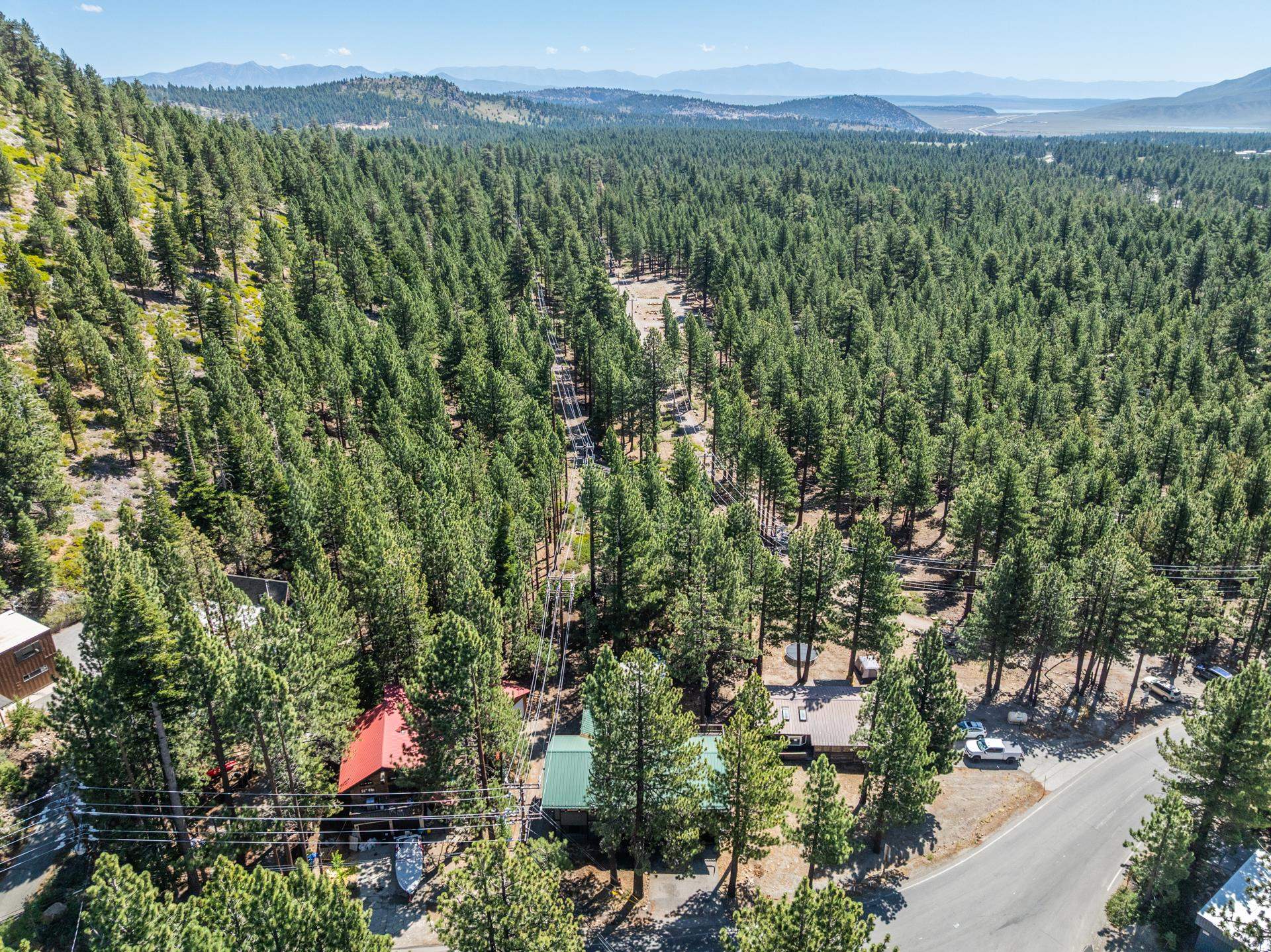 144 Forest Trail