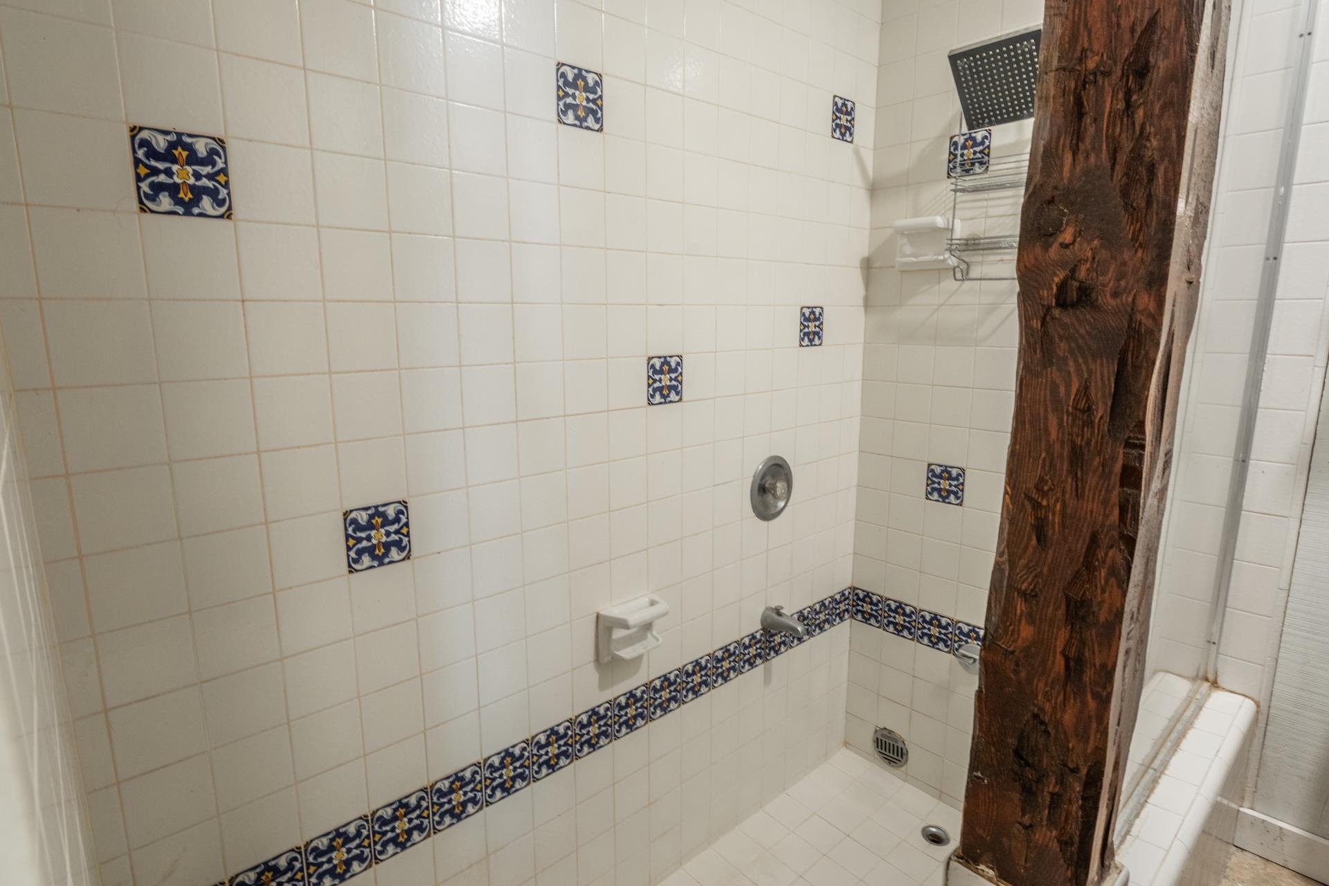144 Forest Trail