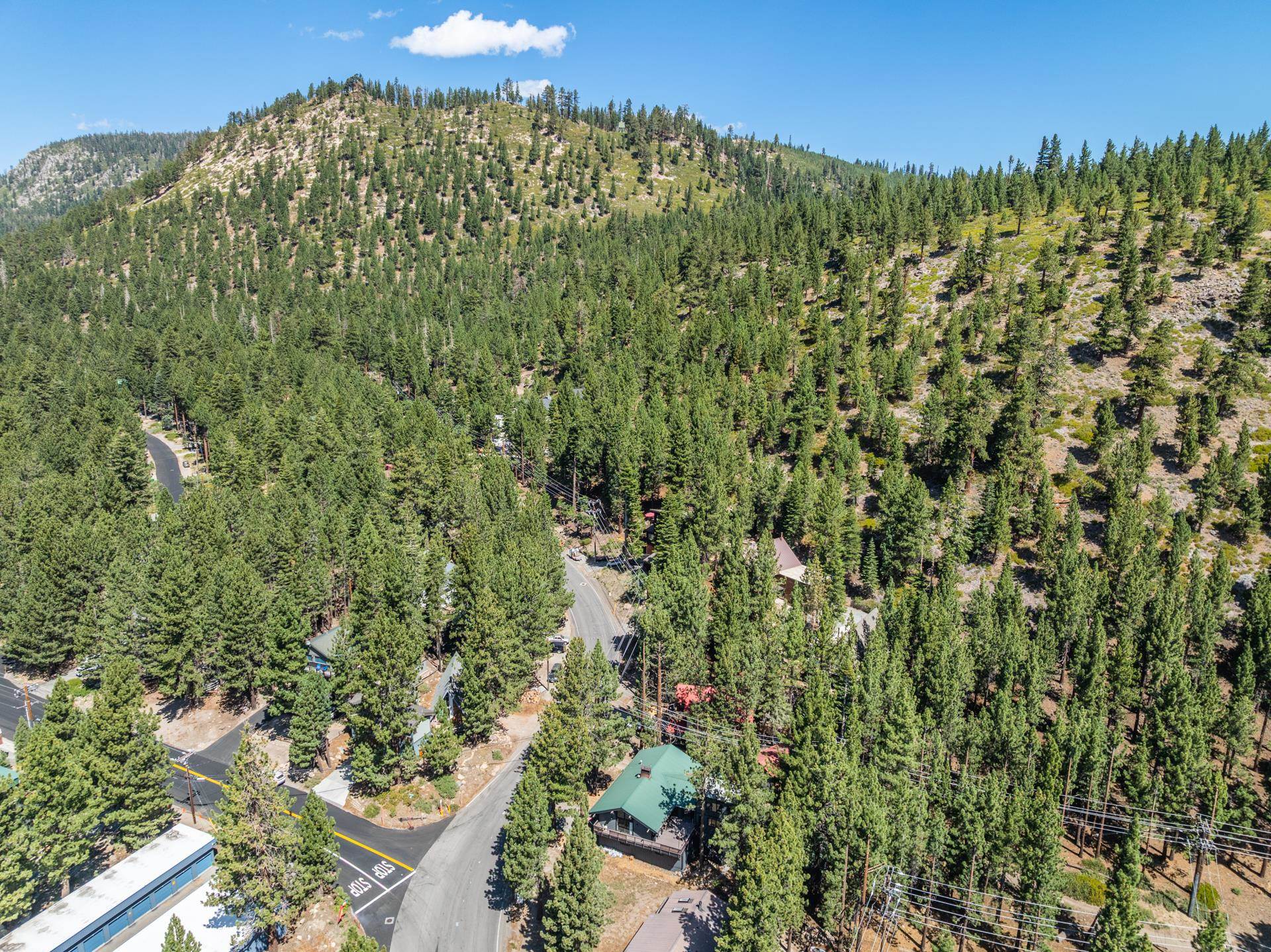 144 Forest Trail