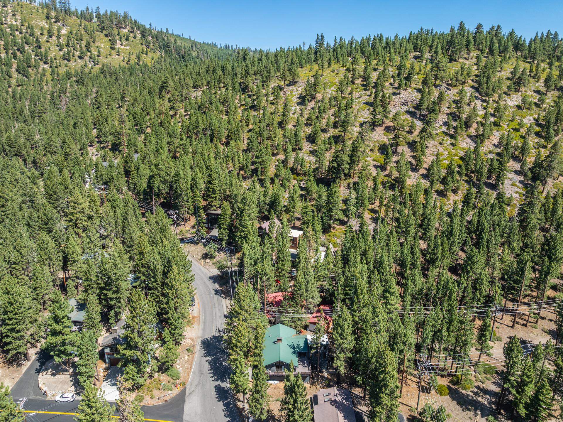 144 Forest Trail