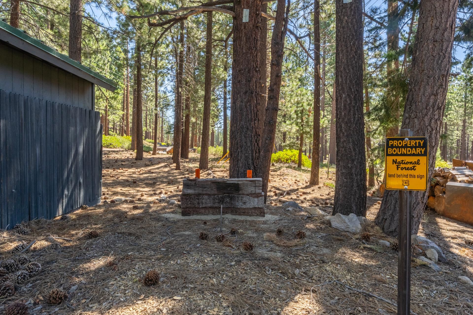 144 Forest Trail
