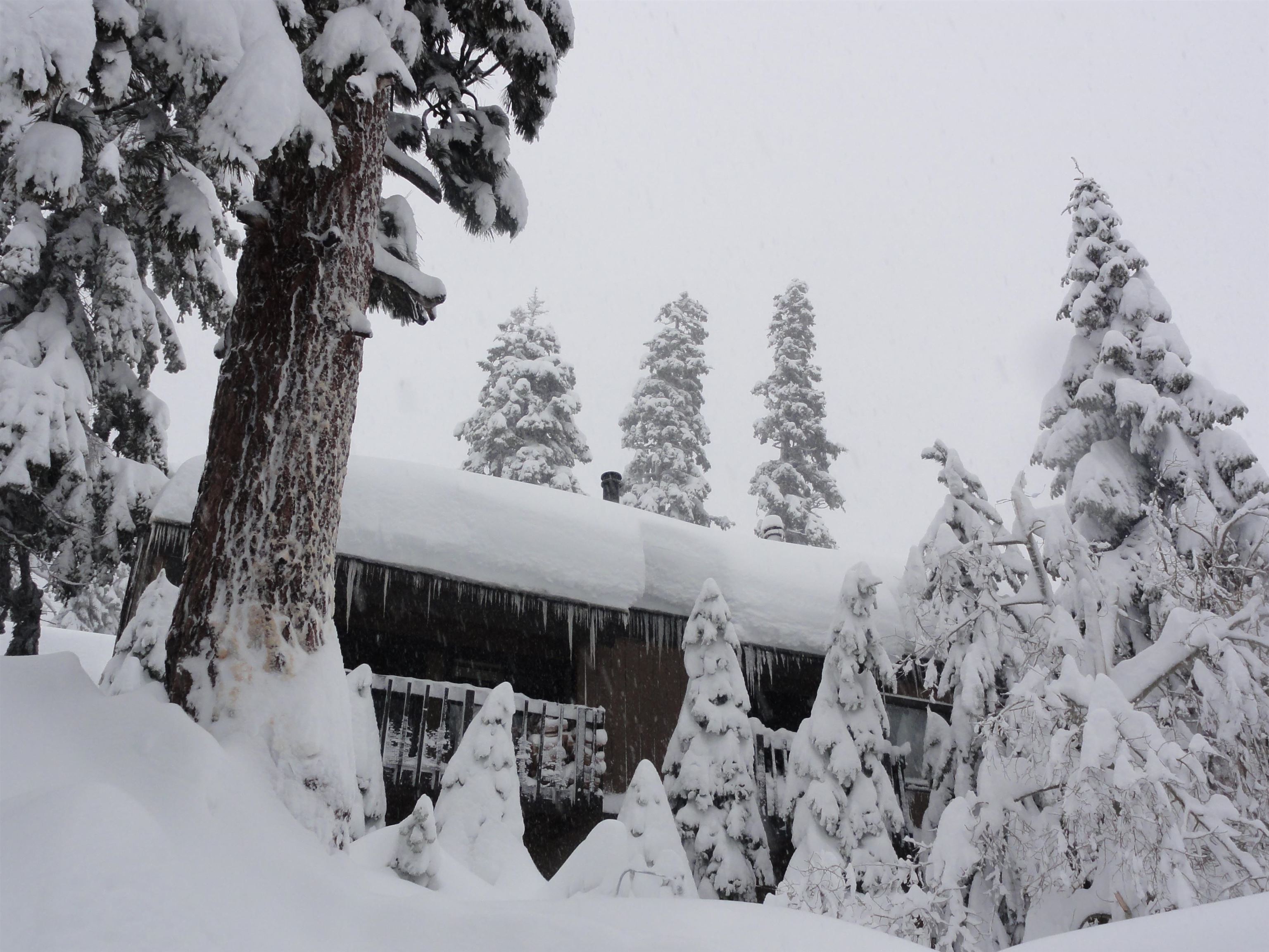 1629 Majestic Pines #108 Unit: Bigwood #108