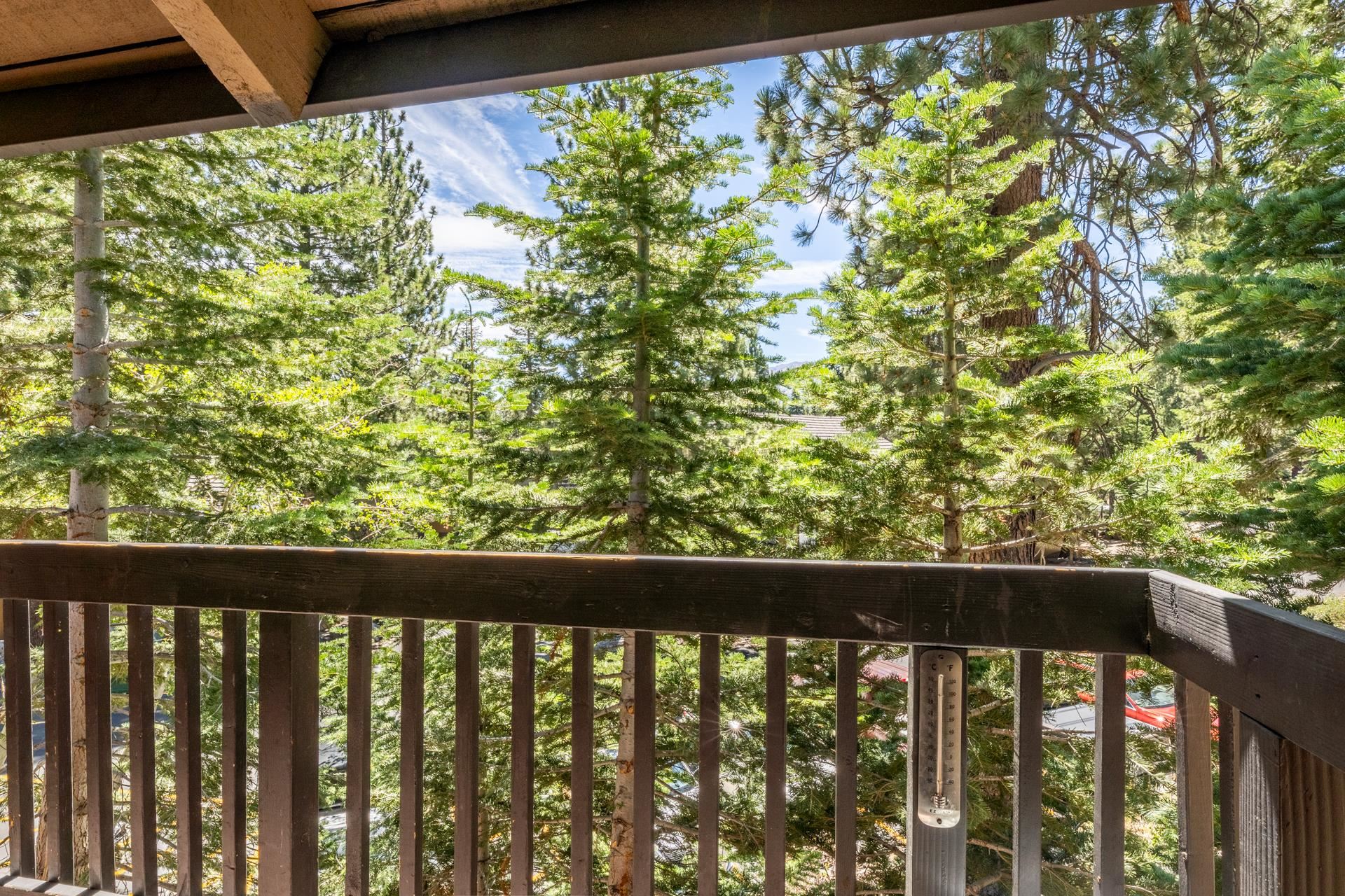 1629 Majestic Pines #108 Unit: Bigwood #108