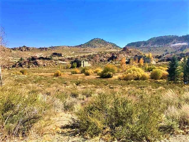 112 Sierra Springs Drive Unit: Sierra Springs Lot 53