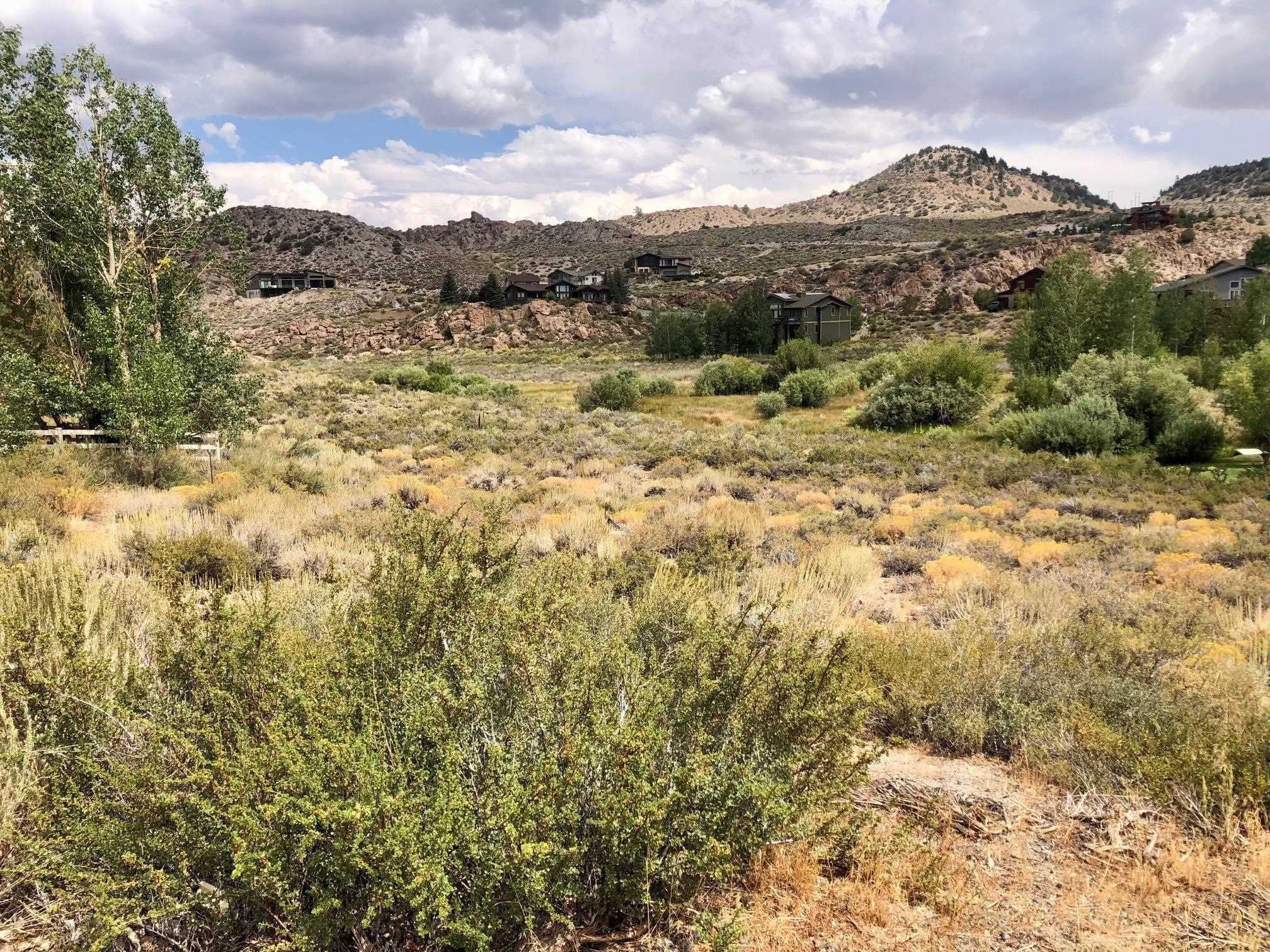 112 Sierra Springs Drive Unit: Sierra Springs Lot 53