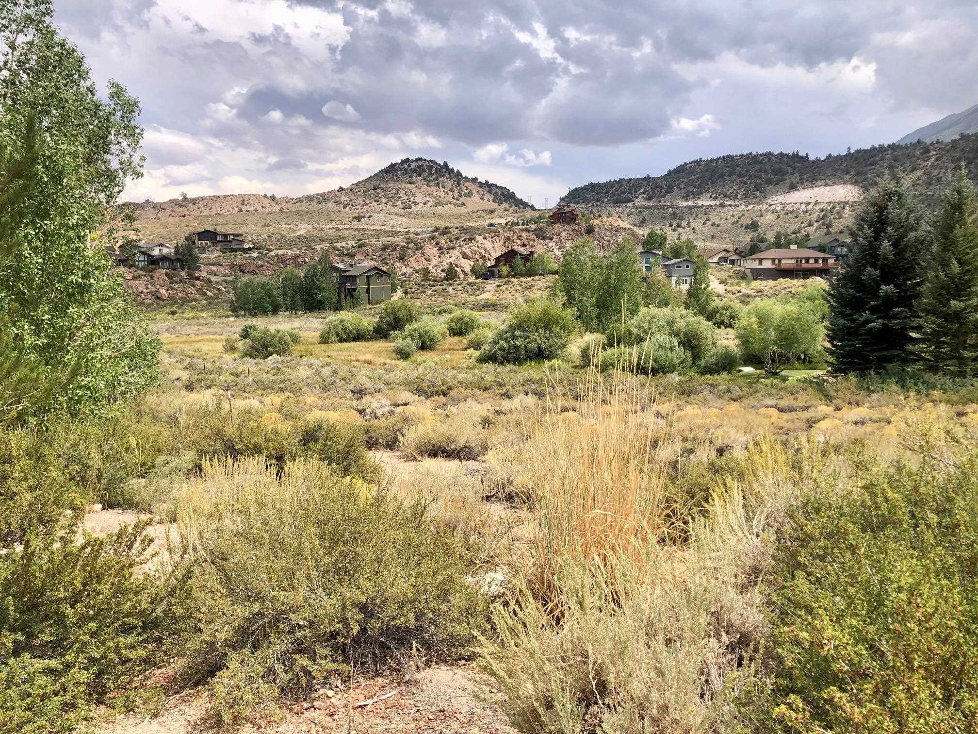 112 Sierra Springs Drive Unit: Sierra Springs Lot 53