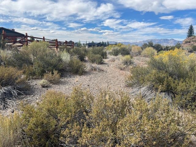 66 Larkspur Drive