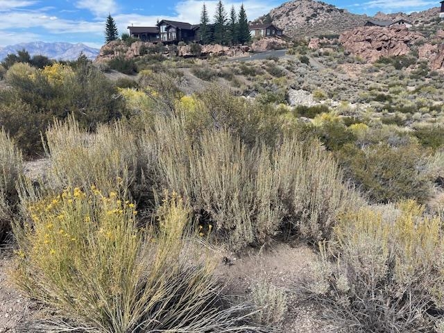 66 Larkspur Drive