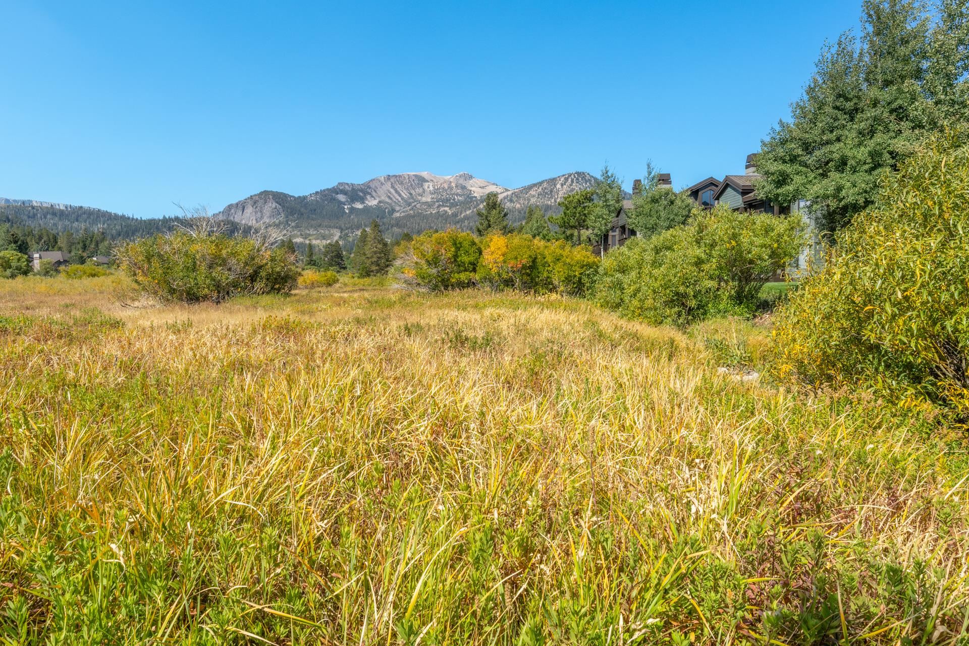 402 Snowcreek Road