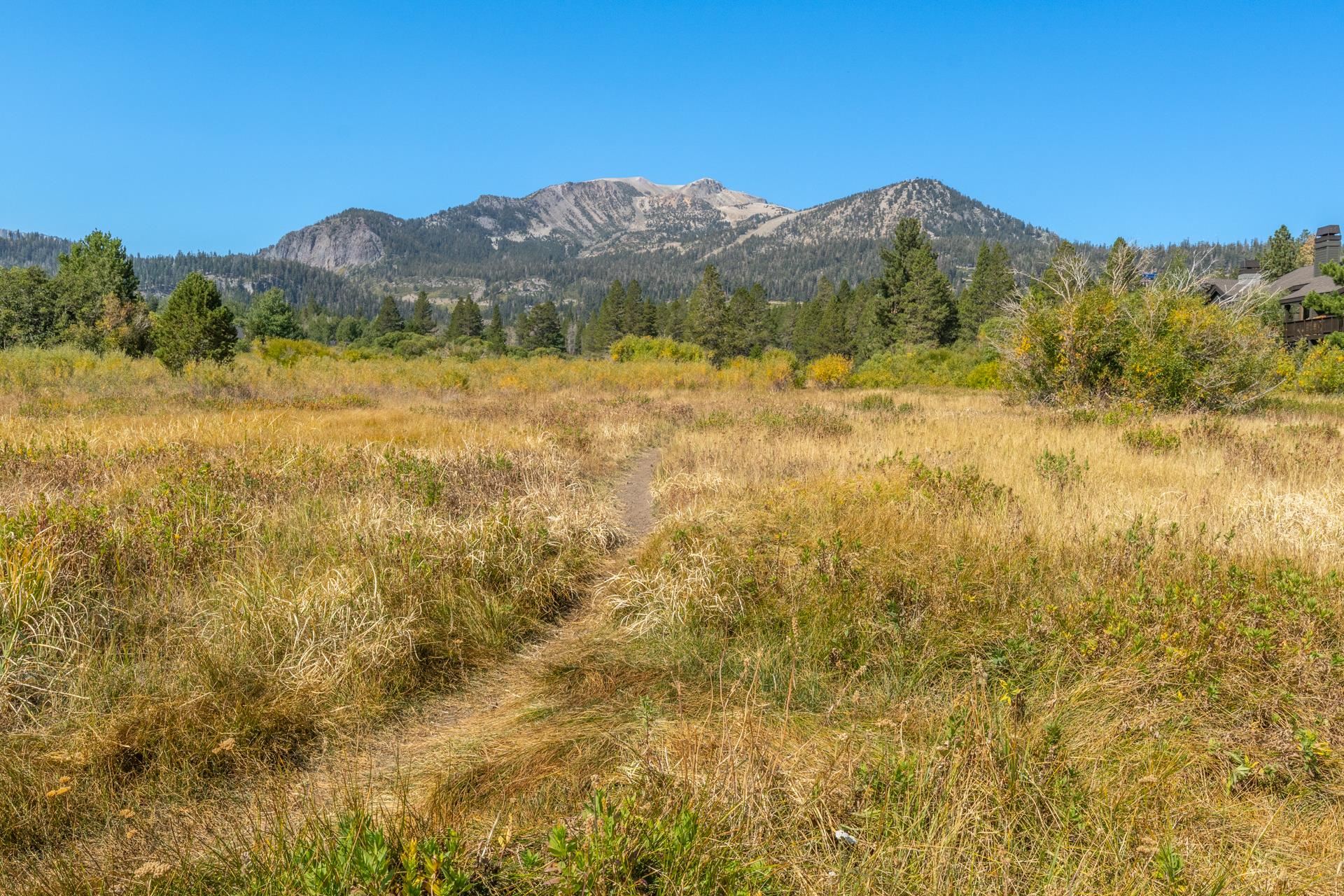 402 Snowcreek Road
