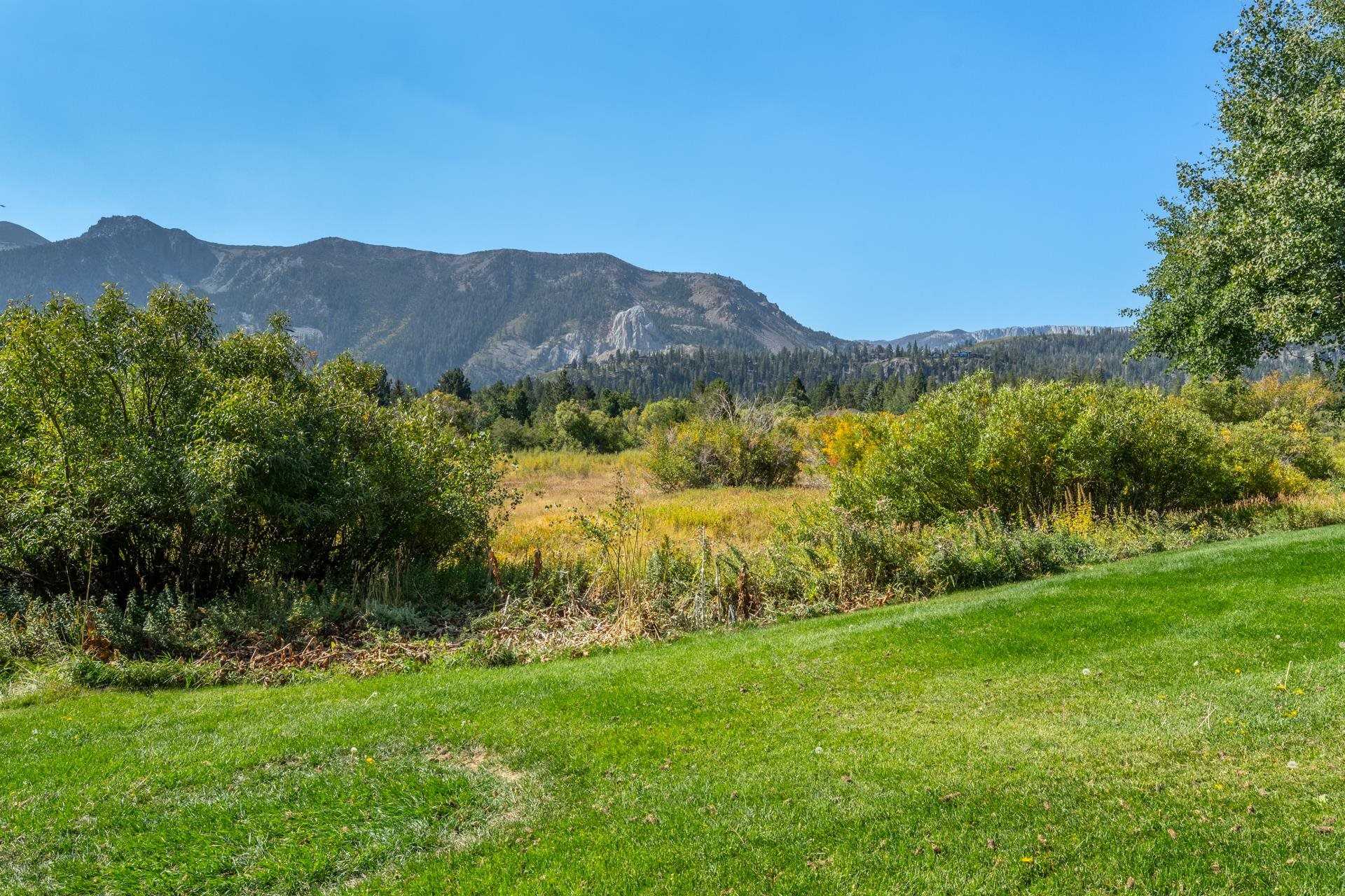 402 Snowcreek Road