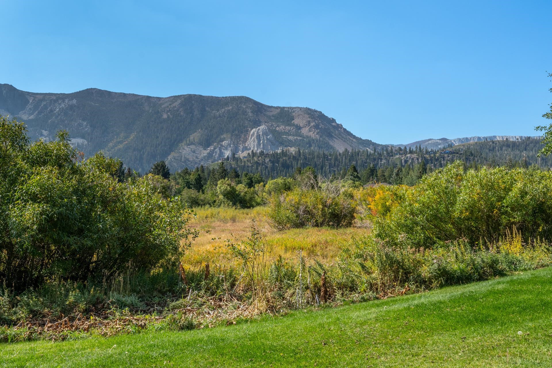 402 Snowcreek Road