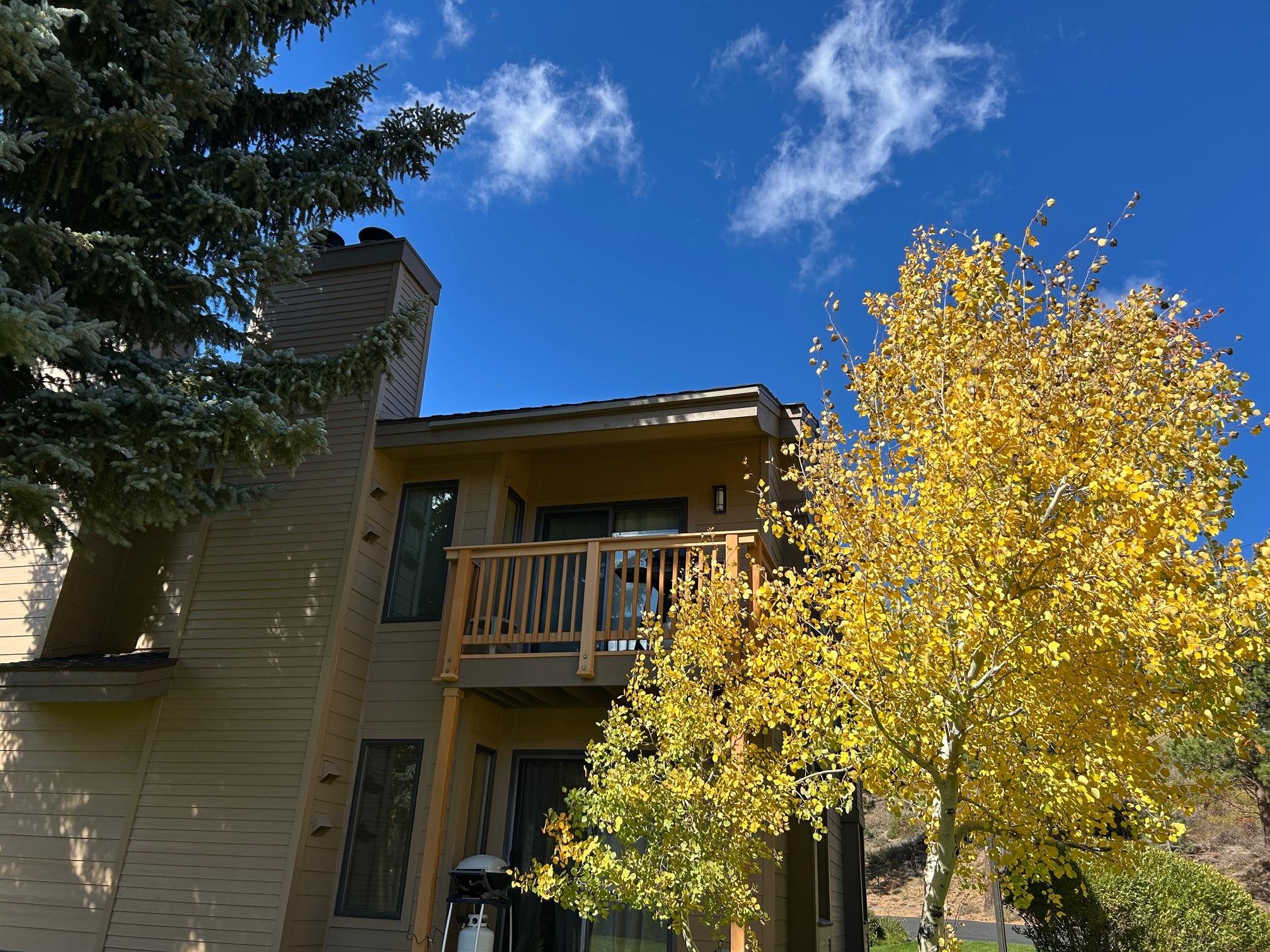 266 Snowcreek Road Unit: 266