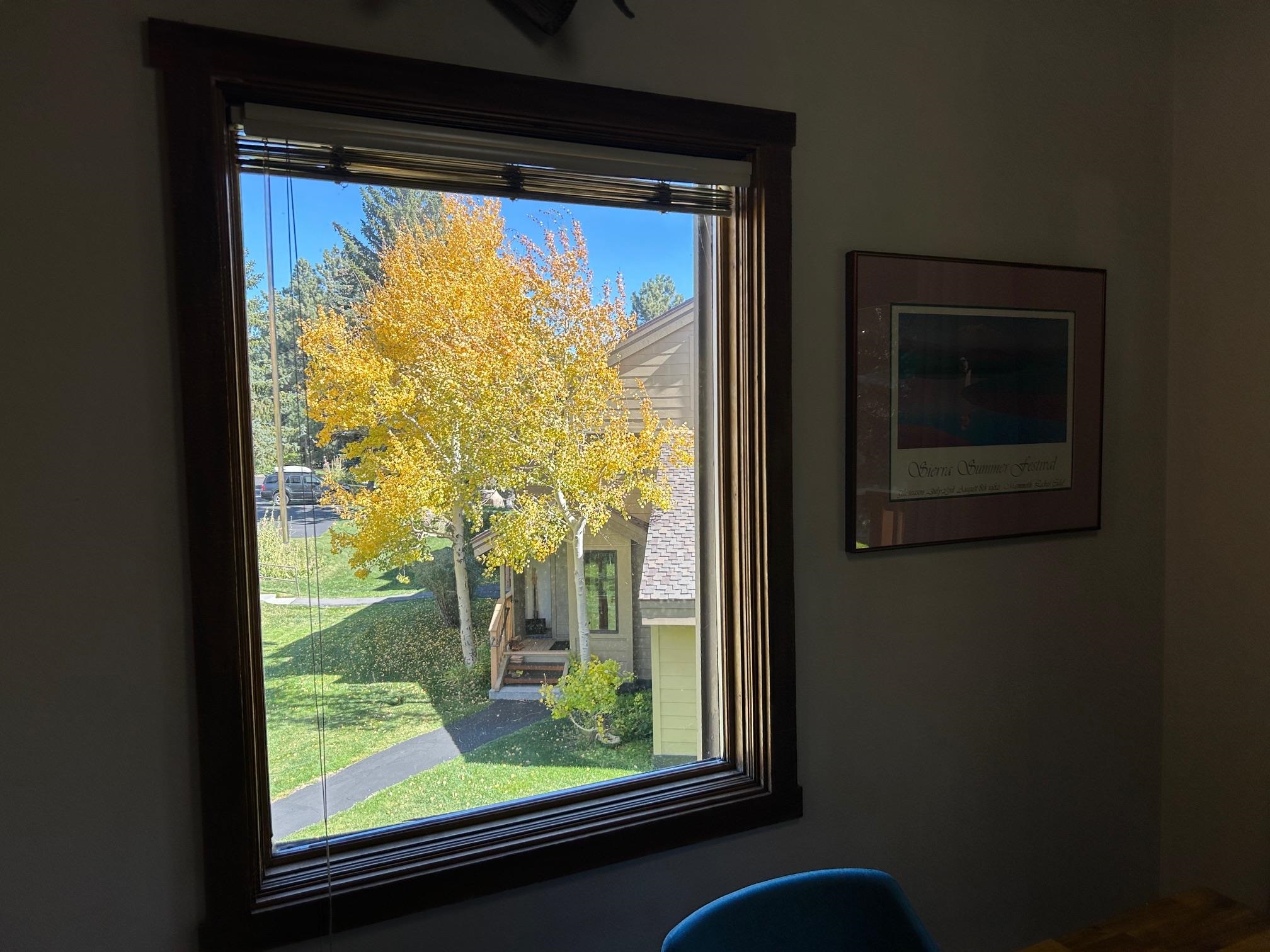 266 Snowcreek Road Unit: 266