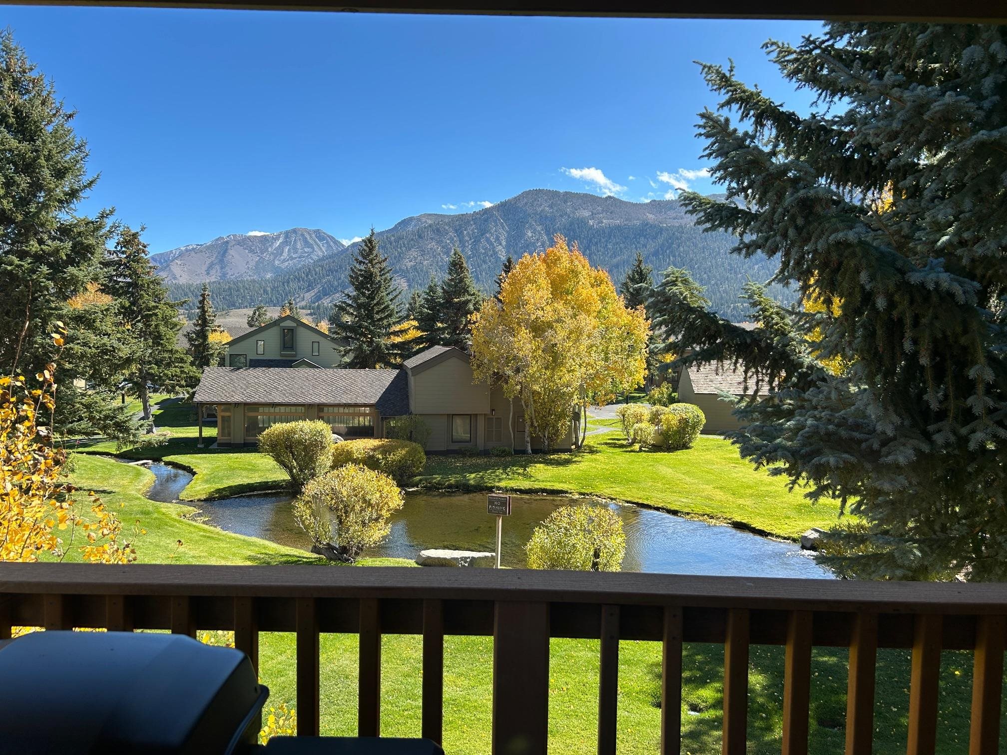 266 Snowcreek Road Unit: 266