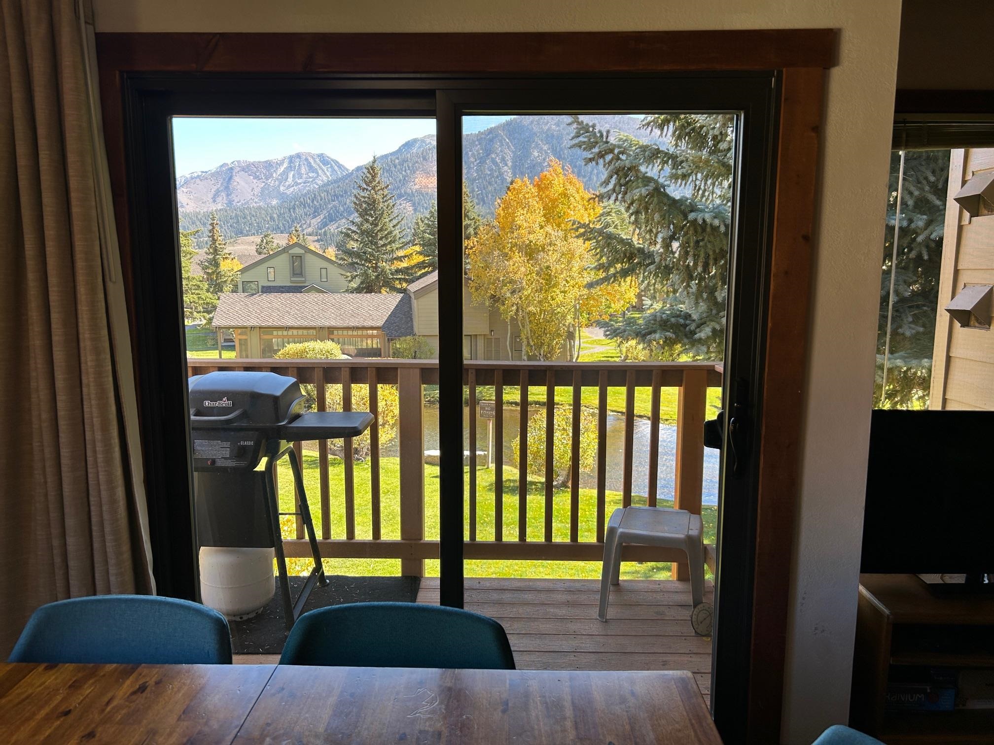 266 Snowcreek Road Unit: 266