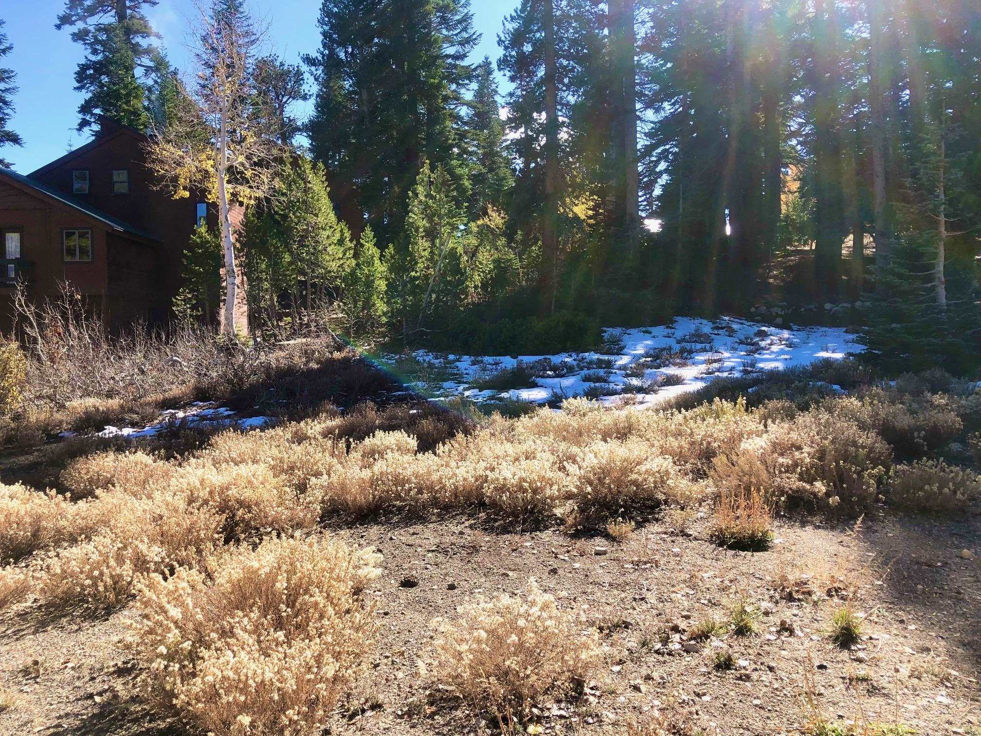 41 Convict Pl Unit: Mammoth Slopes III Lot #30