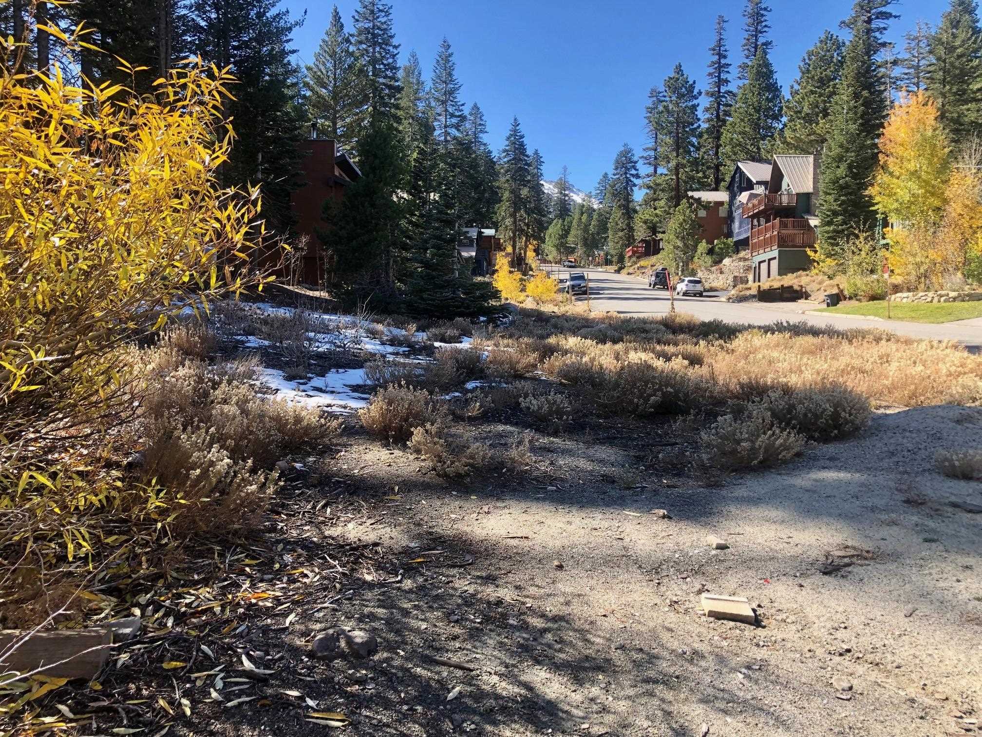 41 Convict Pl Unit: Mammoth Slopes III Lot #30