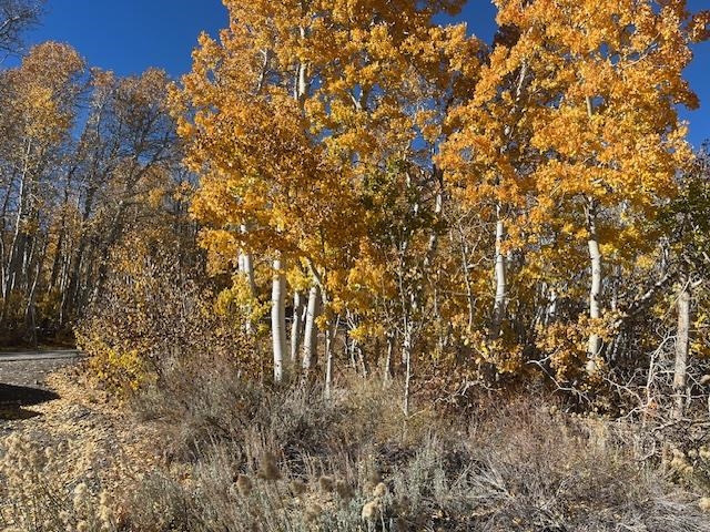 3927 Crowley Lake Drive Unit: 58