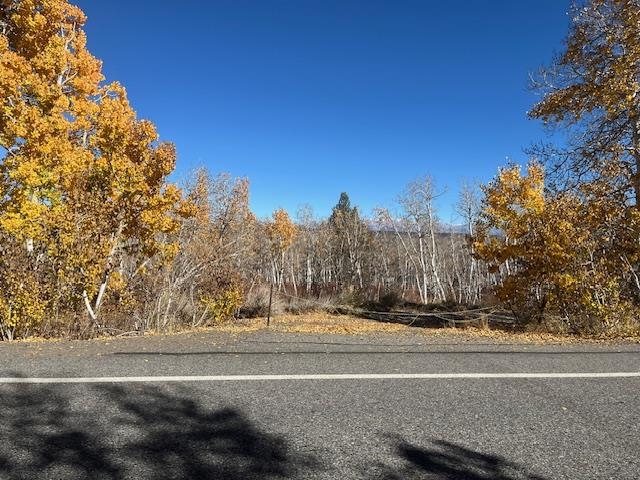 3927 Crowley Lake Drive Unit: 58