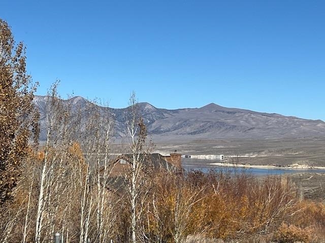 3927 Crowley Lake Drive Unit: 58