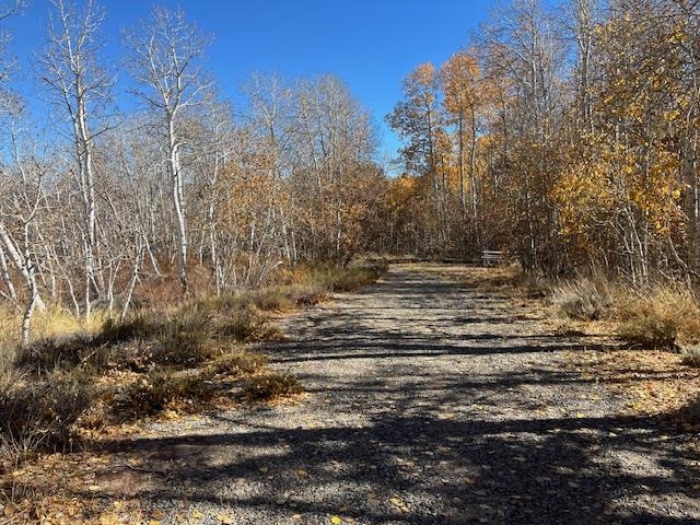 060-210-008-000 Crowley Lake Drive Unit: 8