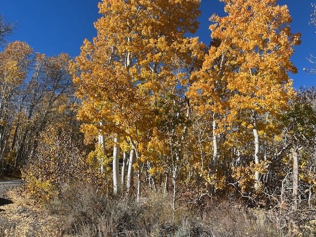 060-210-008-000 Crowley Lake Drive Unit: 8