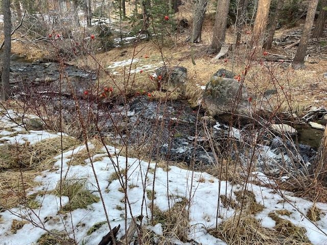 799 Minaret Road Unit: 15-16